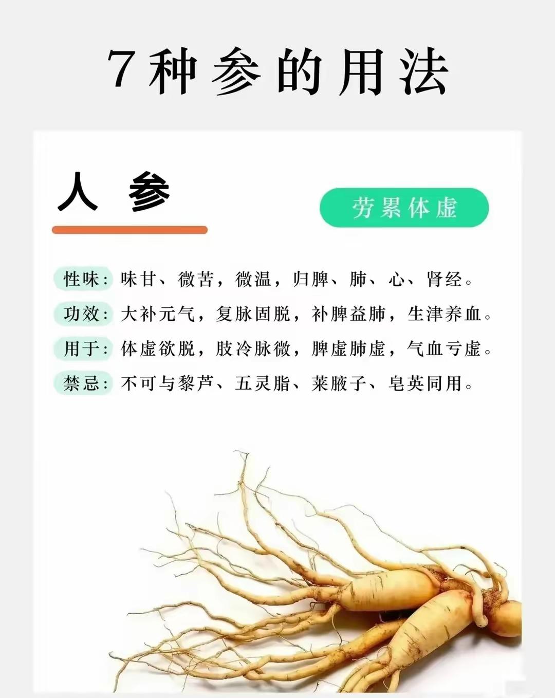 余勇有贾 的想法: 不同参怎么吃?