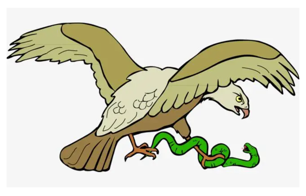 亲子游戏谁吃掉谁游戏准备准备一些有关动物的图片比如老鹰蛇兔子狐狸