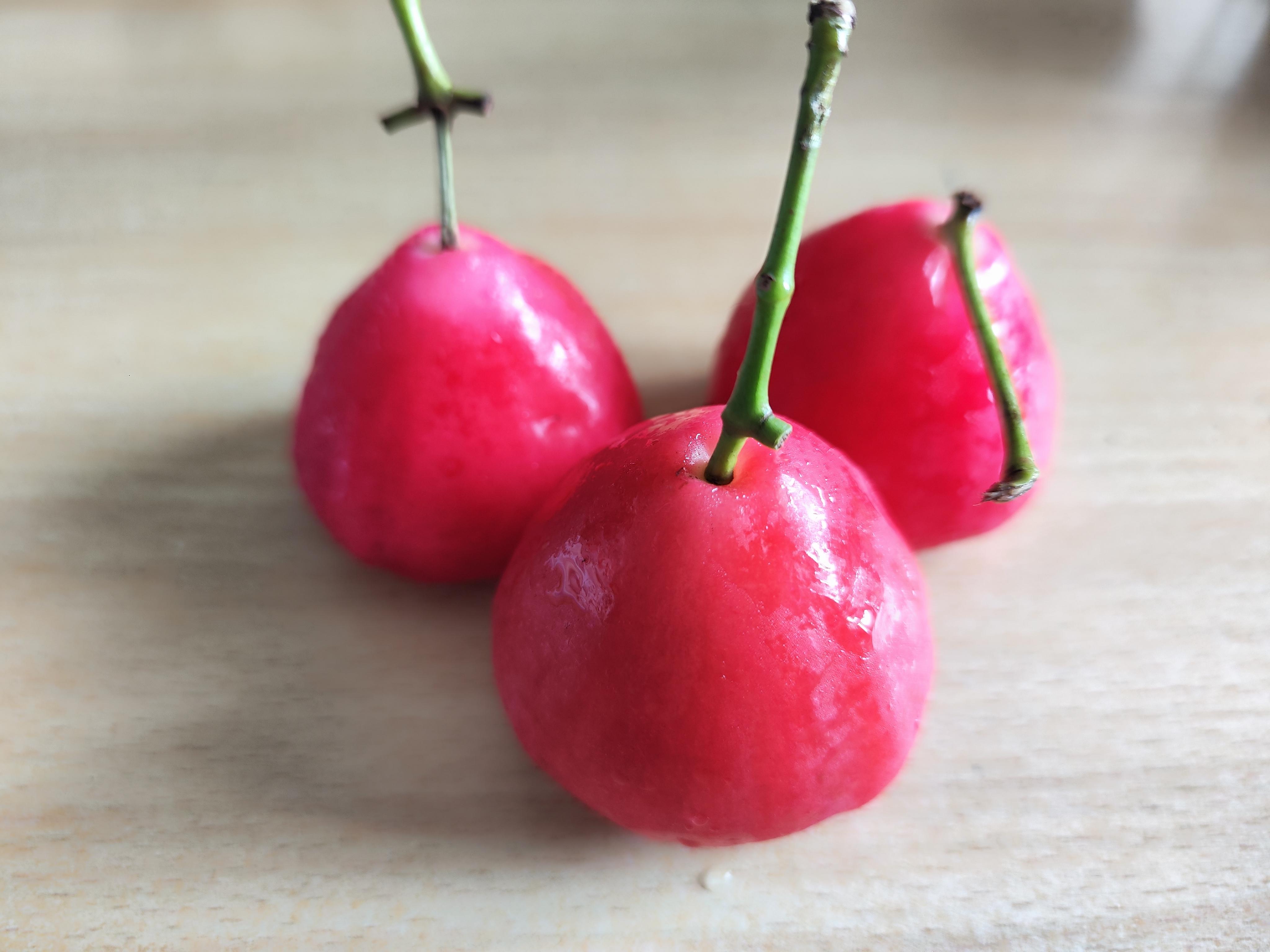 三原色 的想法: 南方绿化带水果