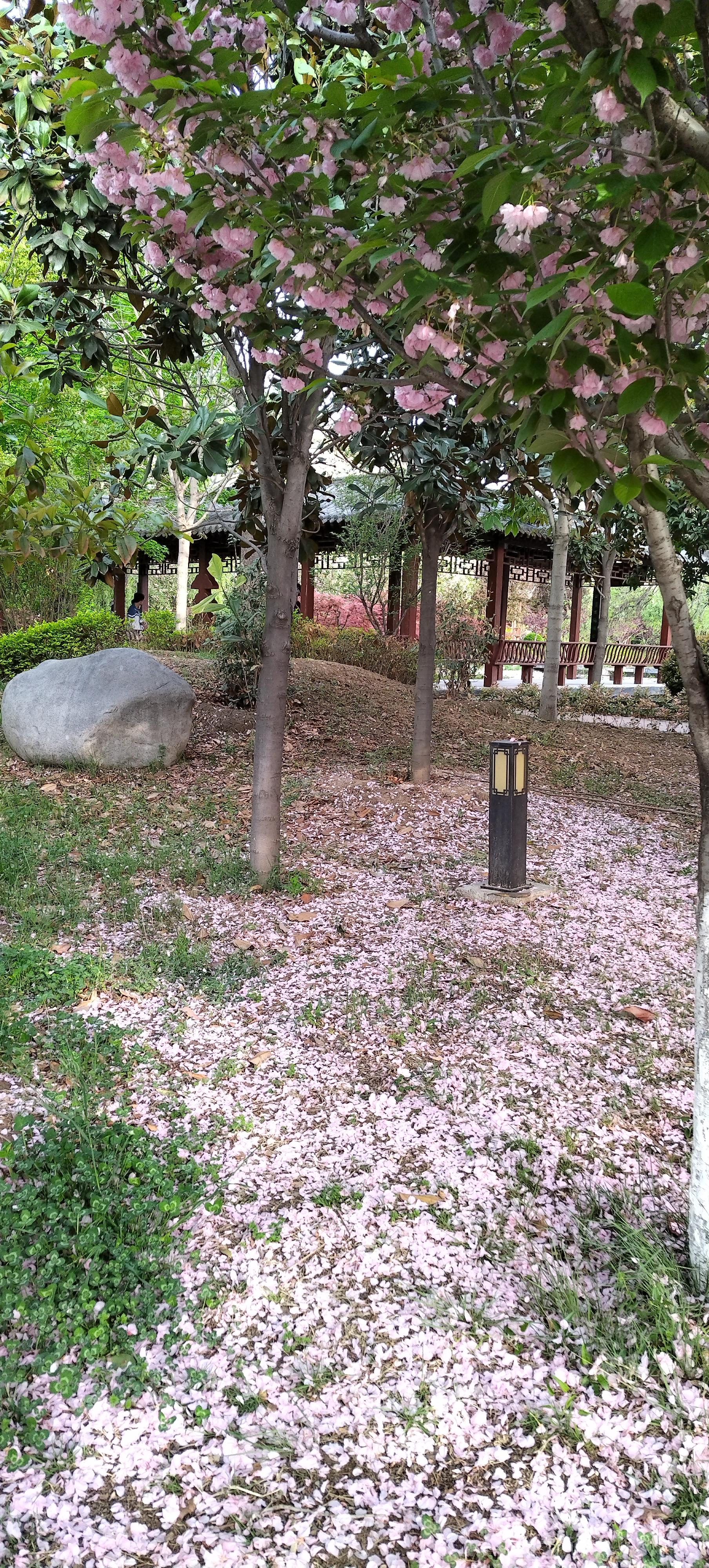 一起聊教育 的想法: 落红不是无情物,化作春泥又护花