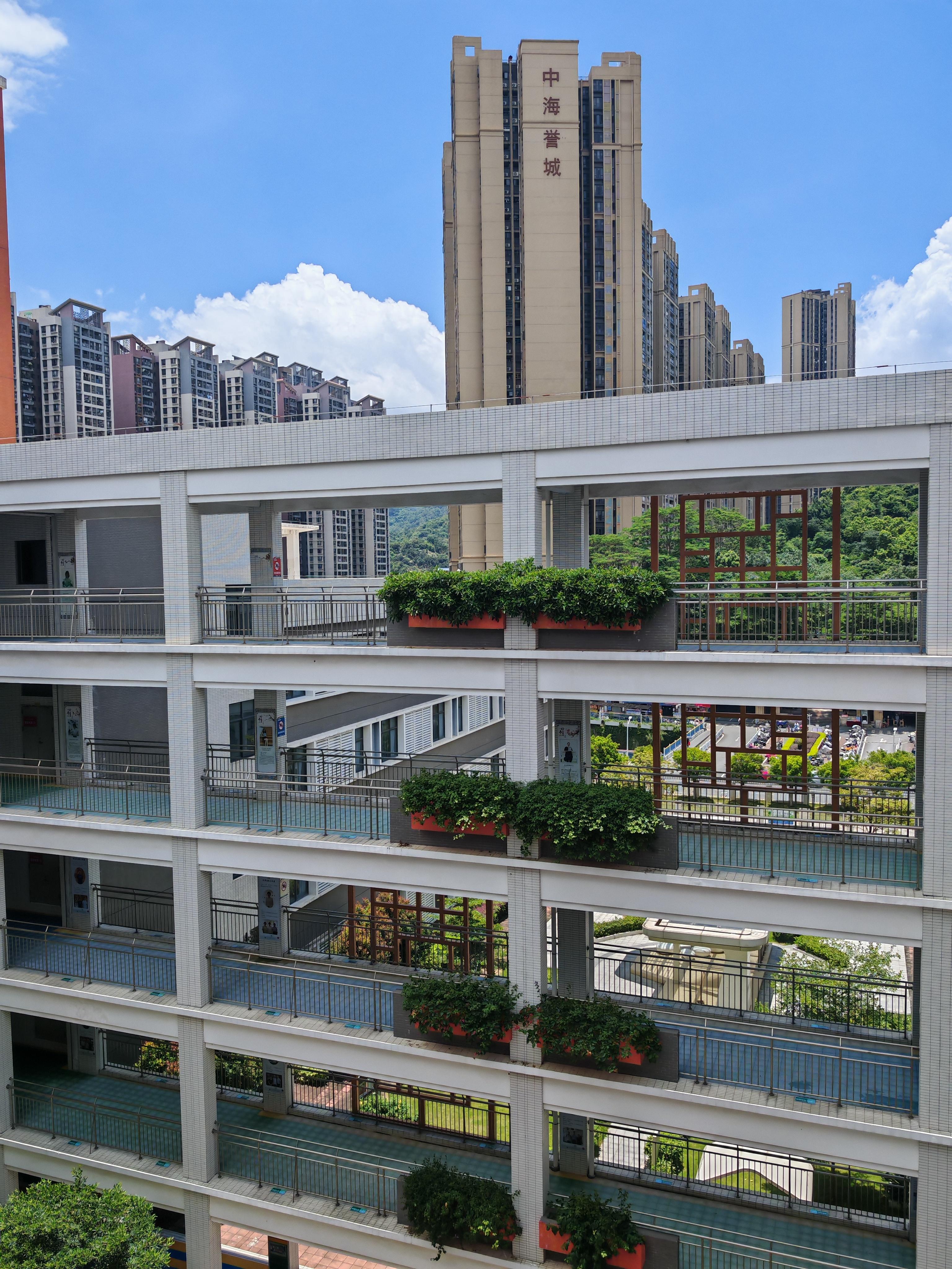 中考完空荡荡的校园沉甸甸的破旧课本一束鲜花谢师恩