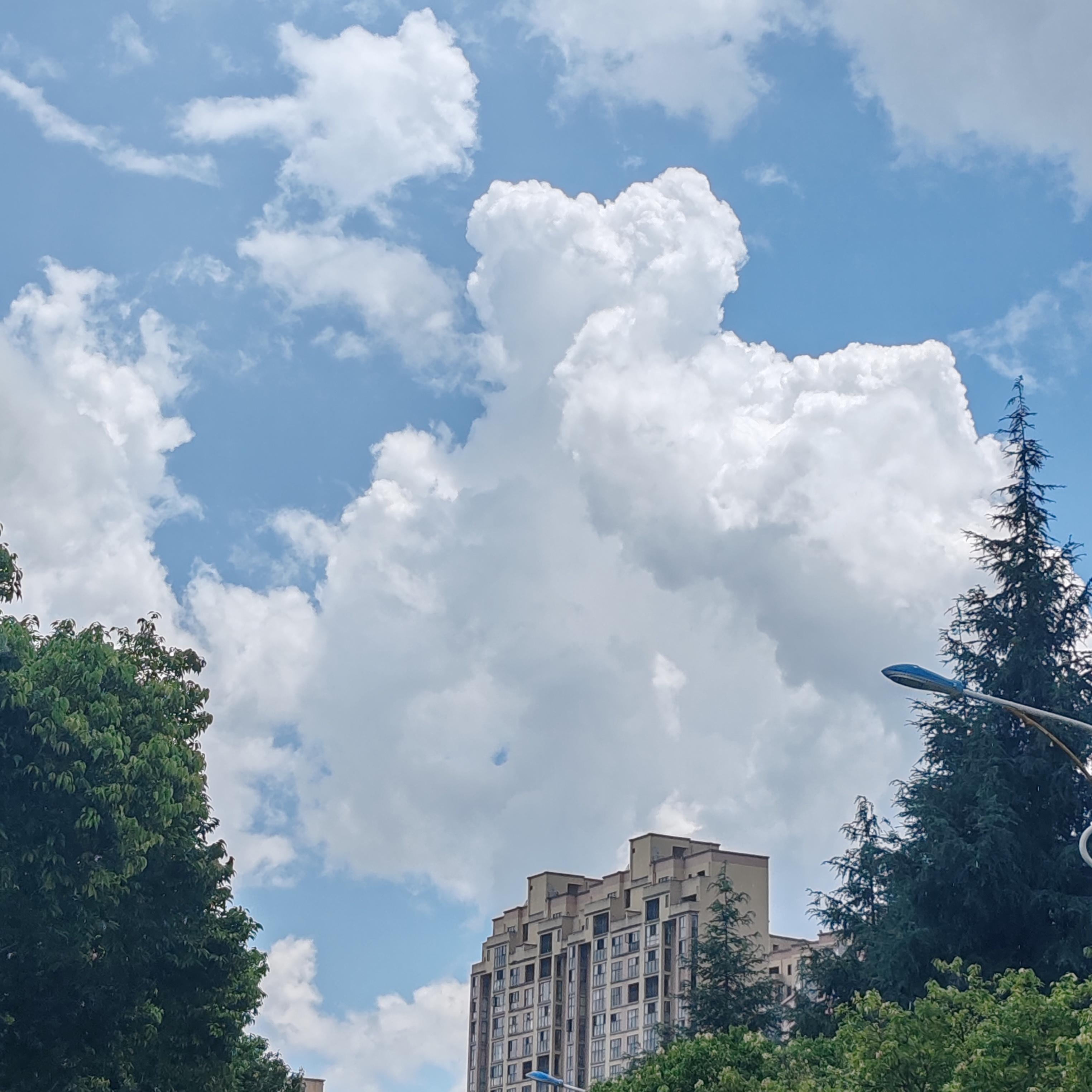 无涯 的想法: #意境天空照片 蓝天白云绿树,清新而又有朝气的景象