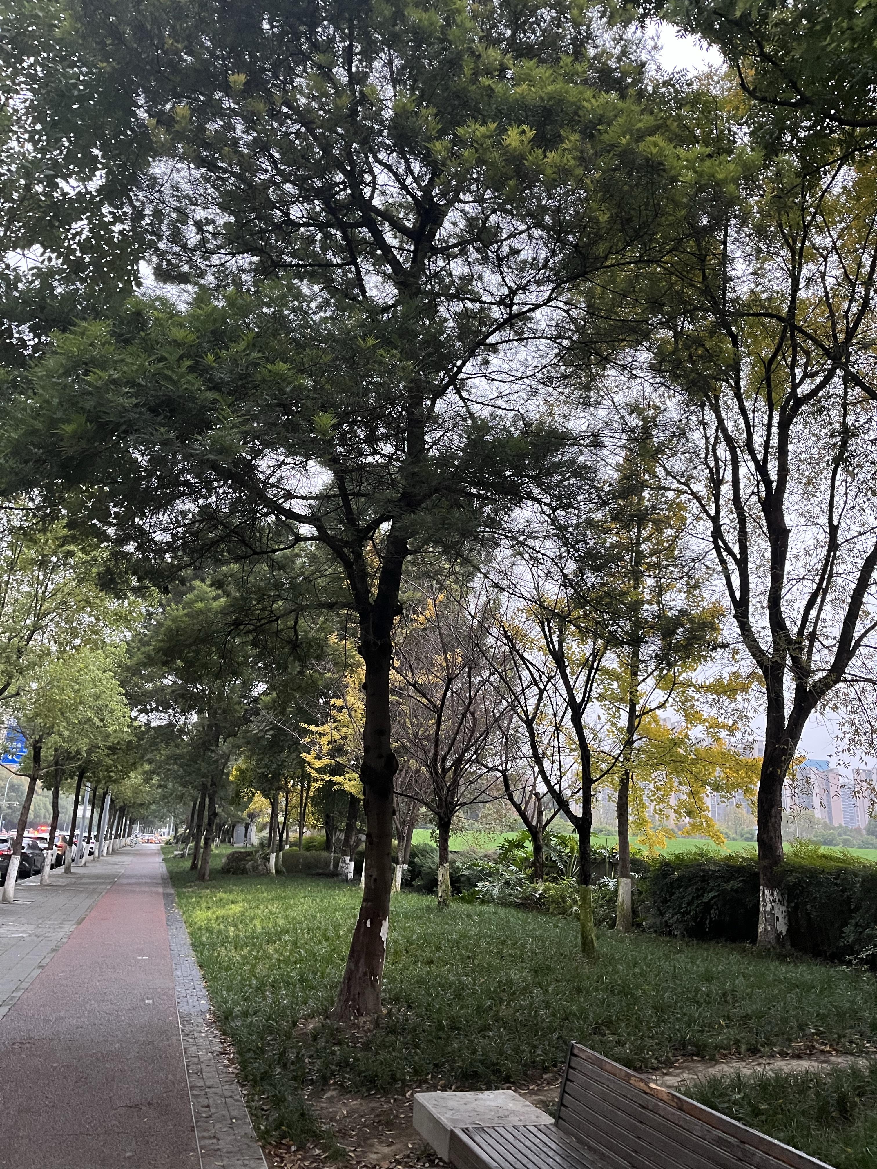 阴沉沉的天气