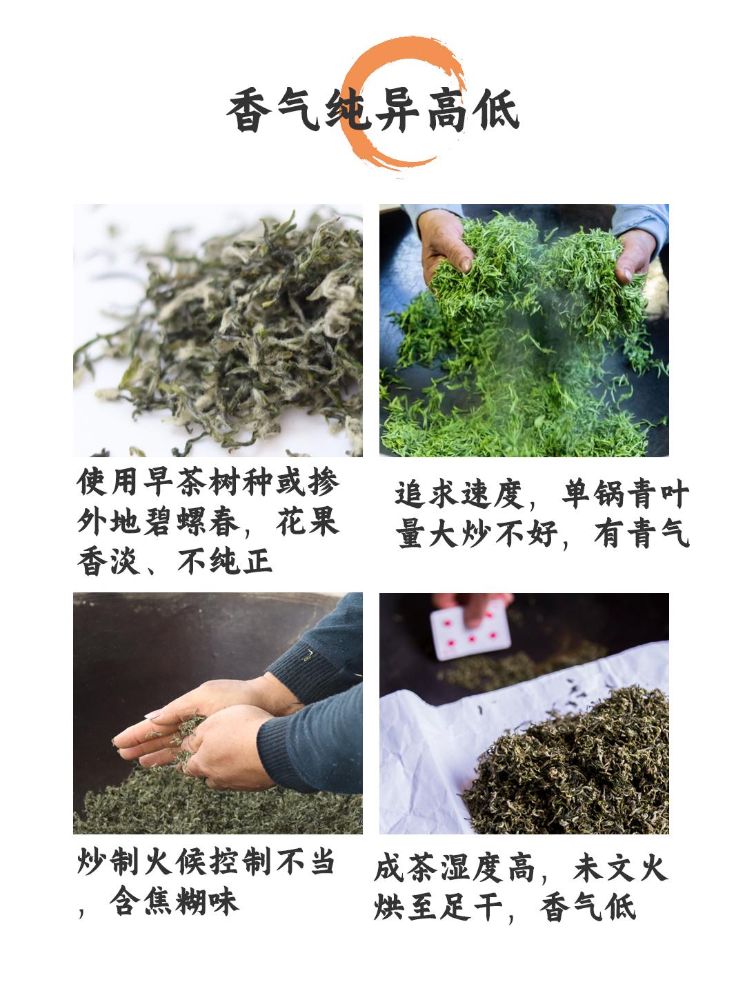 小徐家碧螺春图片