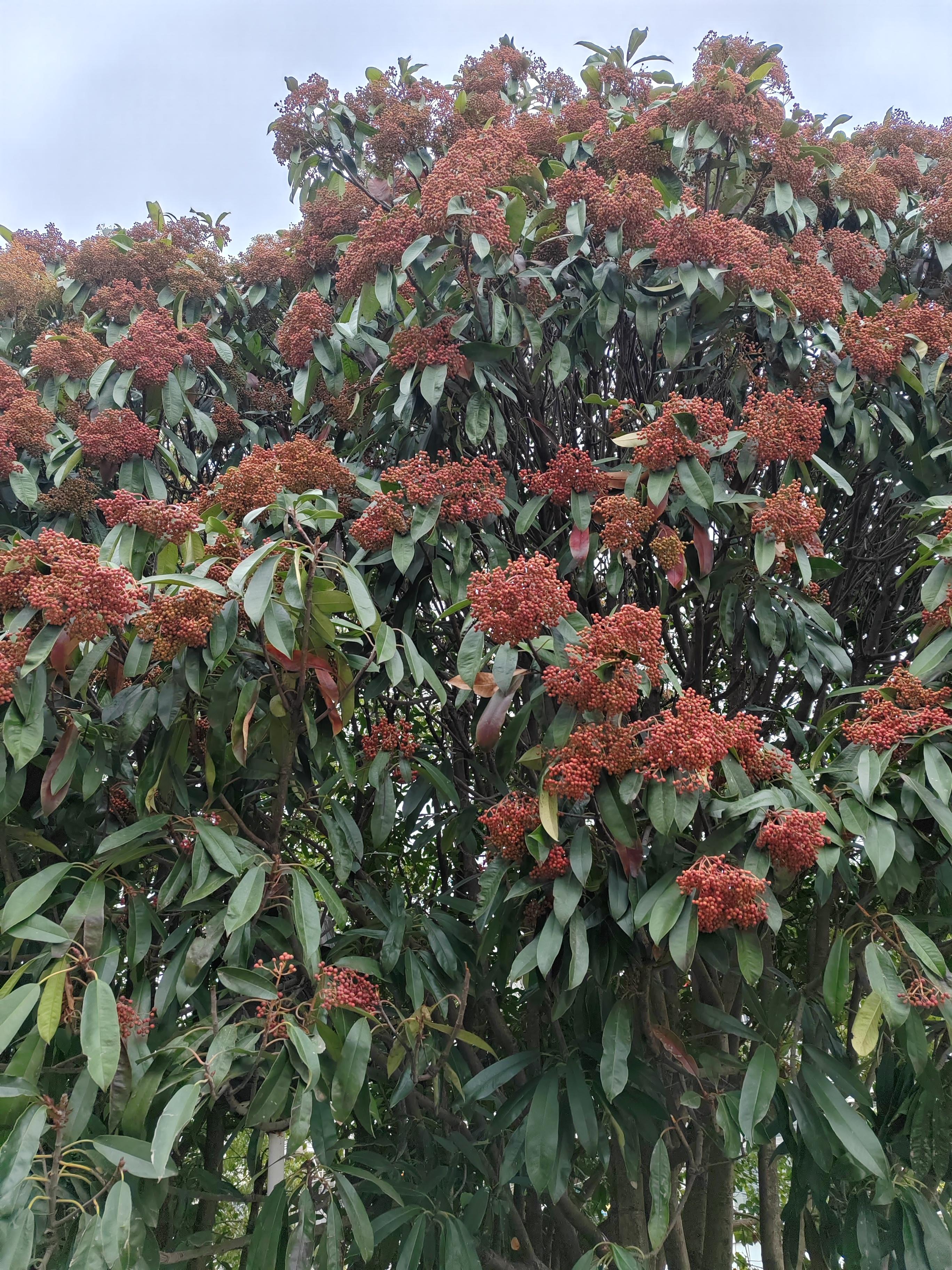 <a class="hash_tag" href="