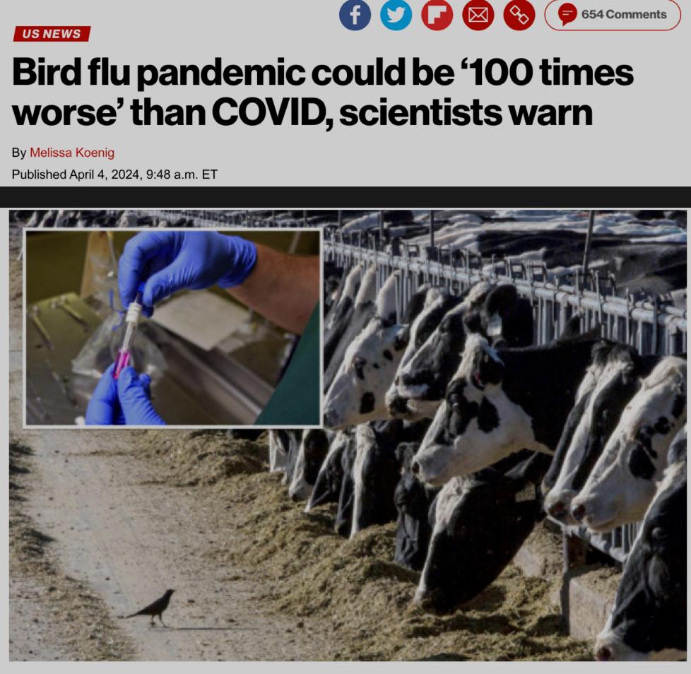 美国首次发现人通过奶牛感染禽流感专家警告如失控比新冠严重100倍
