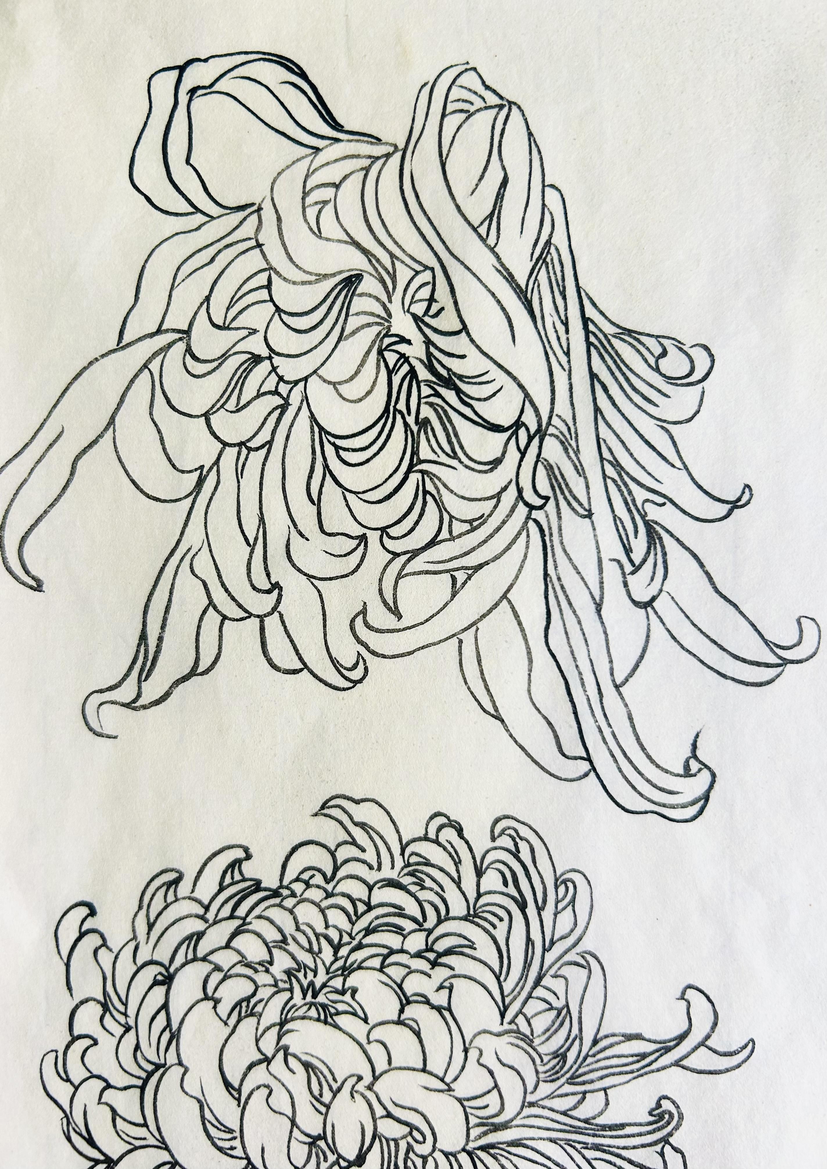 静观斋 的想法: 国画白描花鸟练习十六