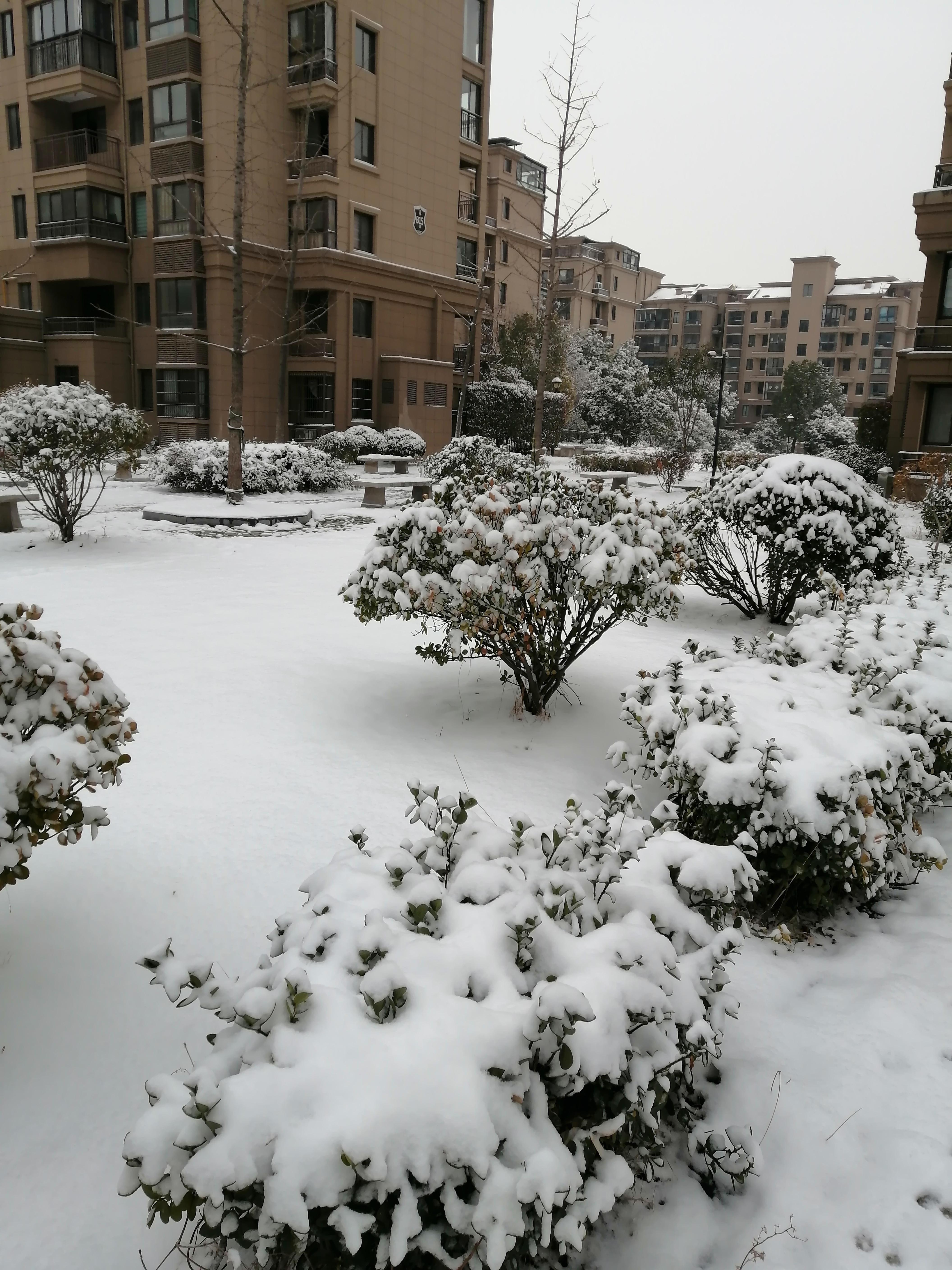 大雪纷飞美景实景图片