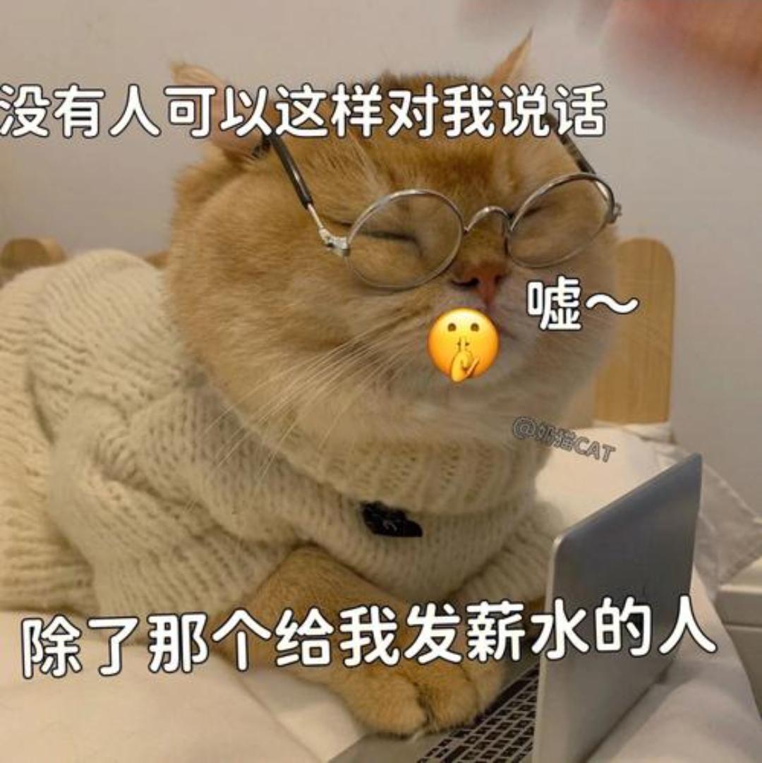 沐阳安小笙 的想法: 日常几张职场金句表情包97 | 工作是为了更好的