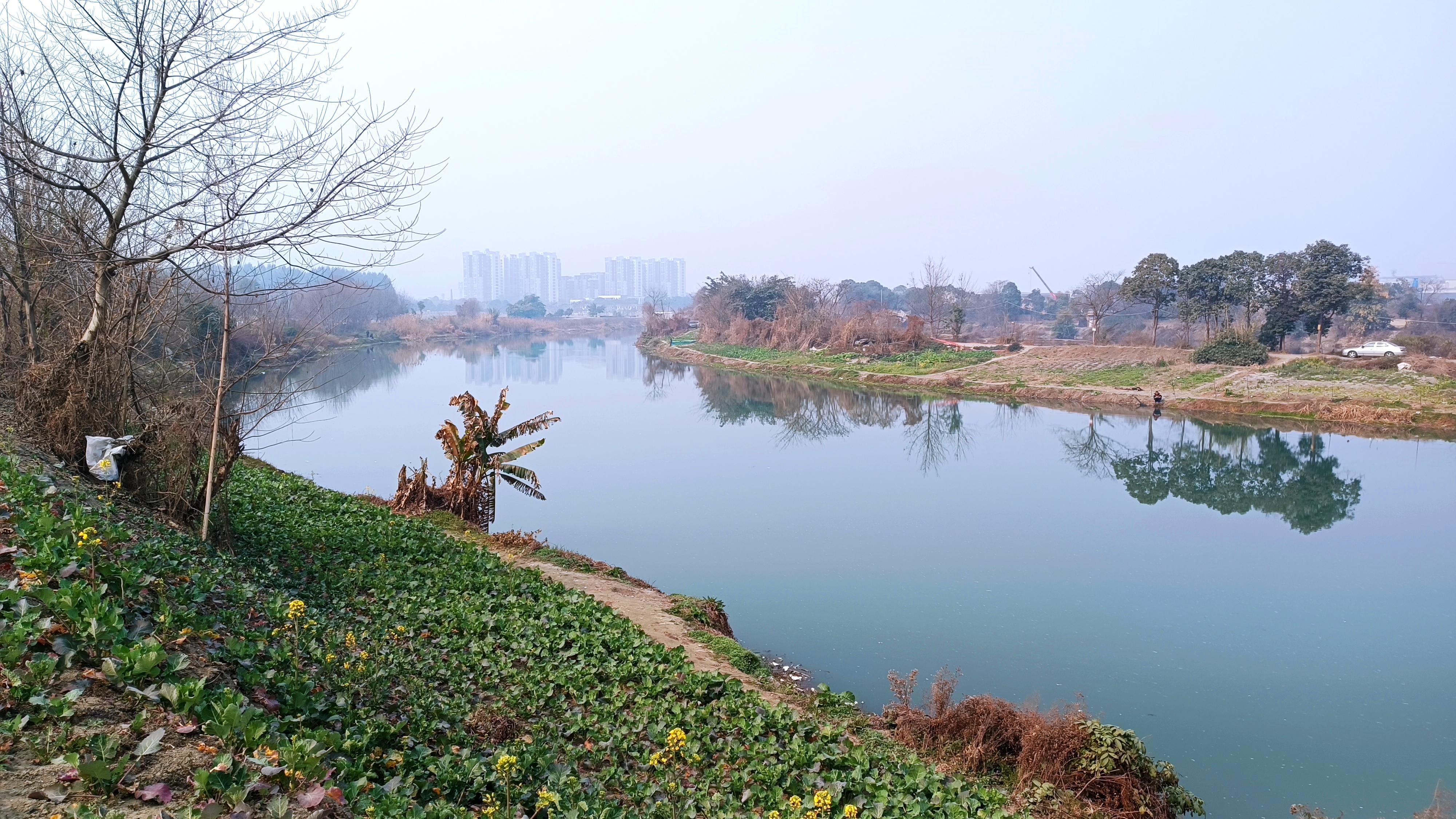 笑天猫 的想法: 新都区白鹤岛,没想到在这里还有一个名副其实的岛屿