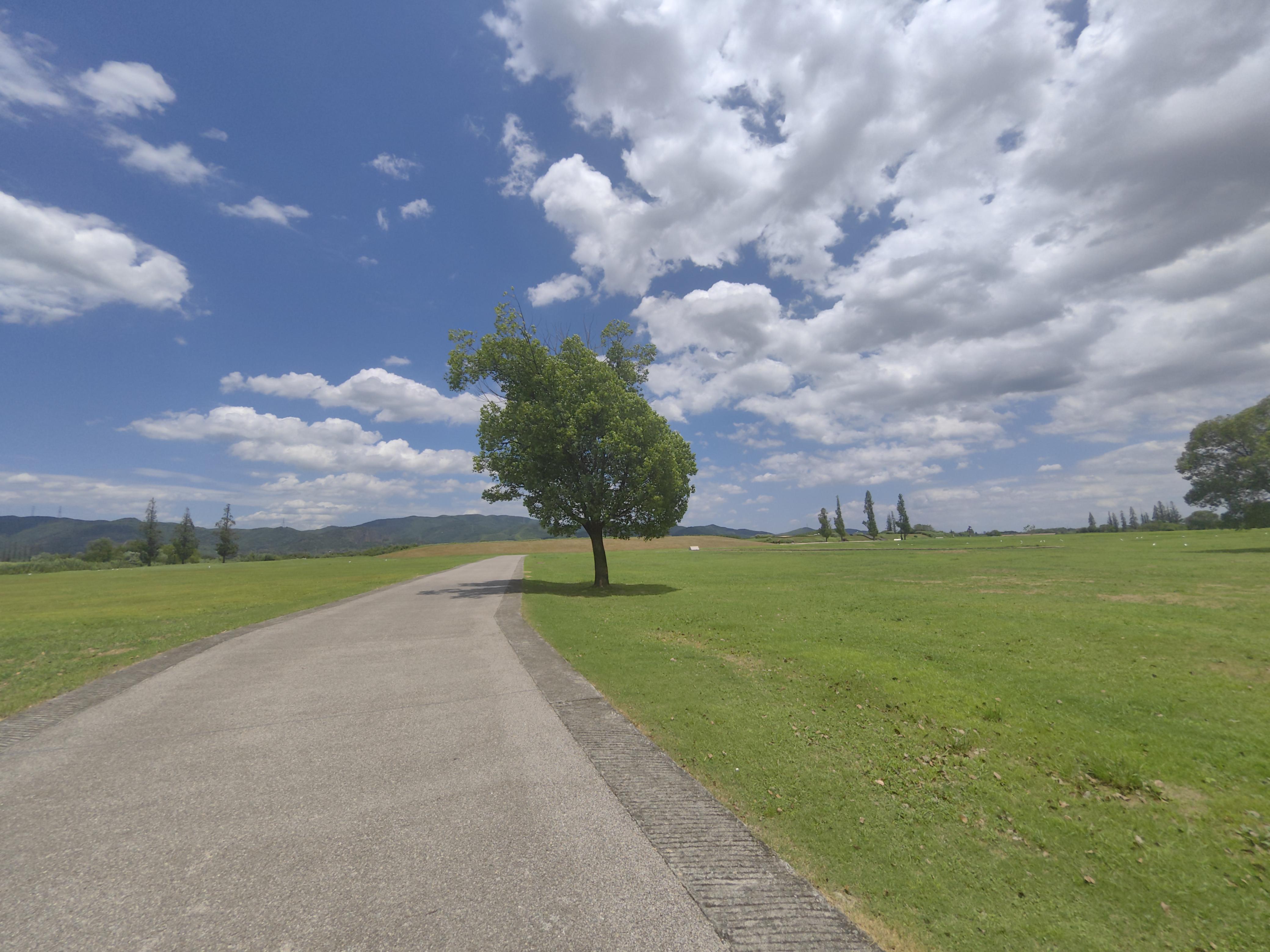 的想法: 良渚文化遗址公园