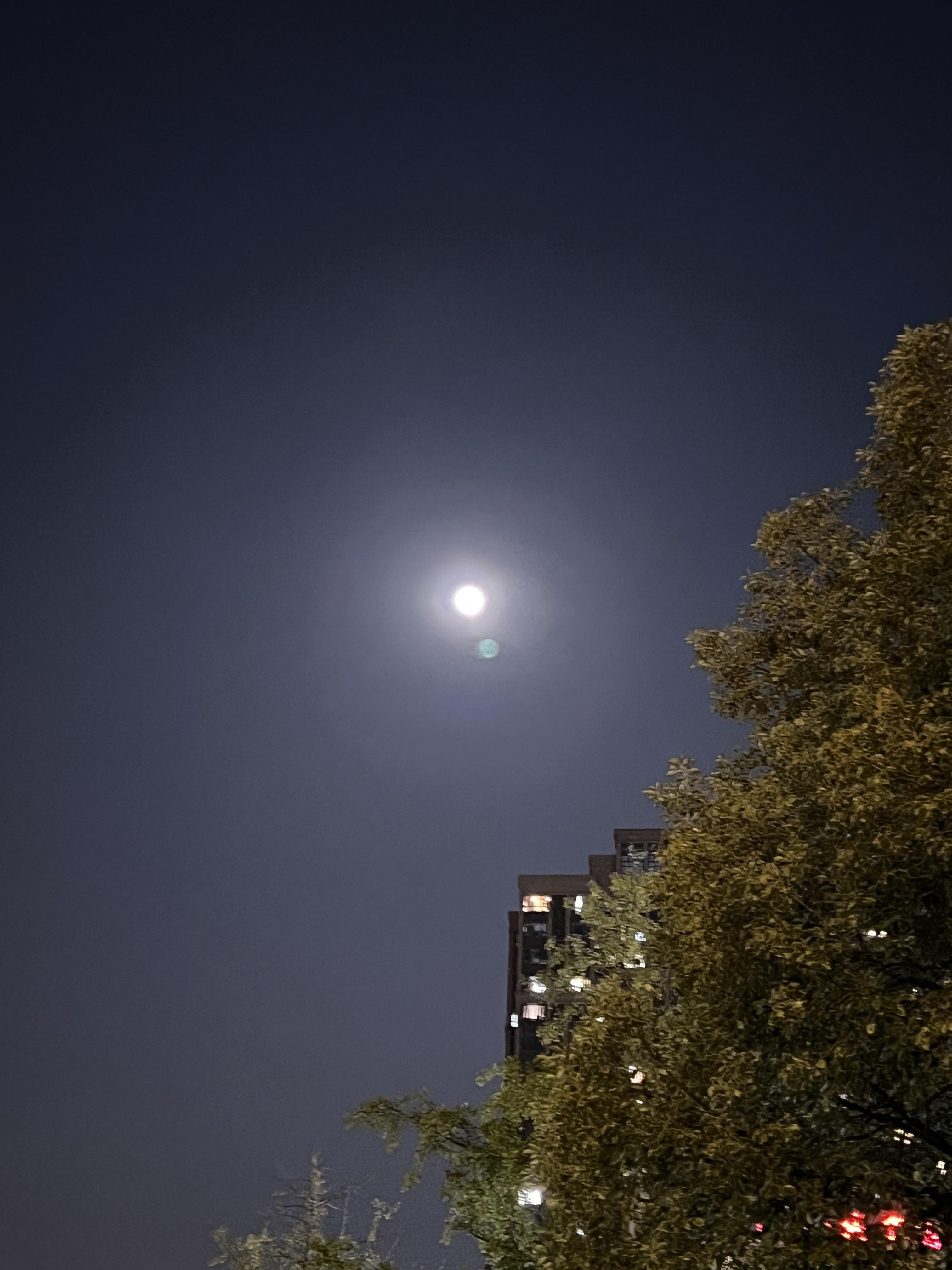 梦幻泡影 的想法: 中秋月圆