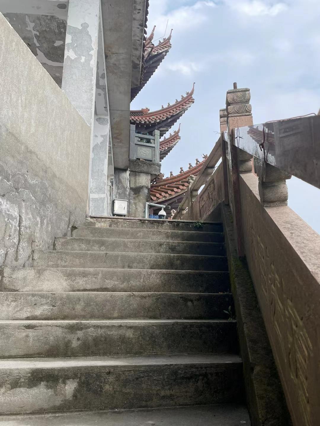 漂流 的想法: 温岭楼旗尖