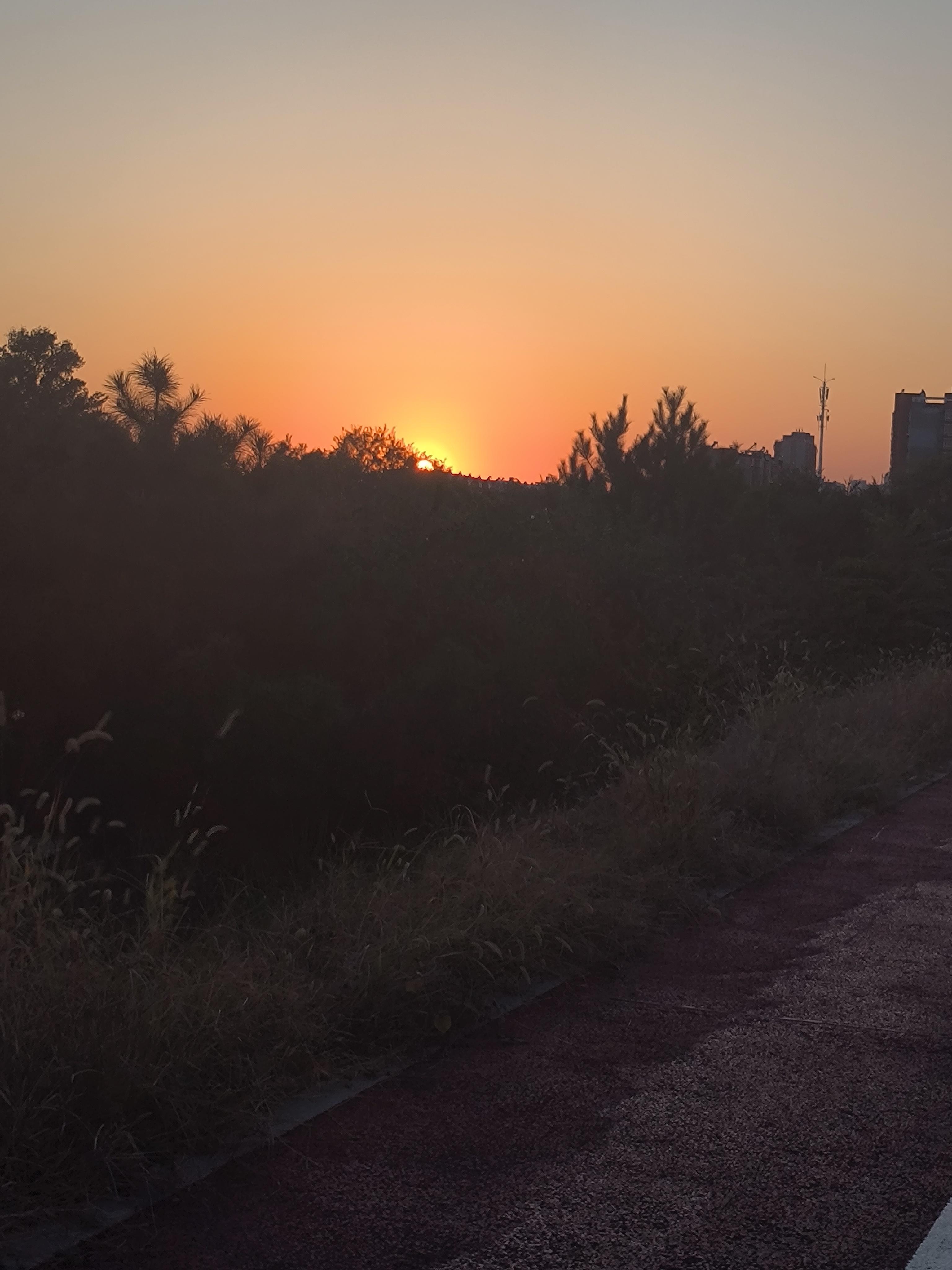 熊出没 的想法: 夕阳无限好 | 夕阳无限好,只是近黄昏.