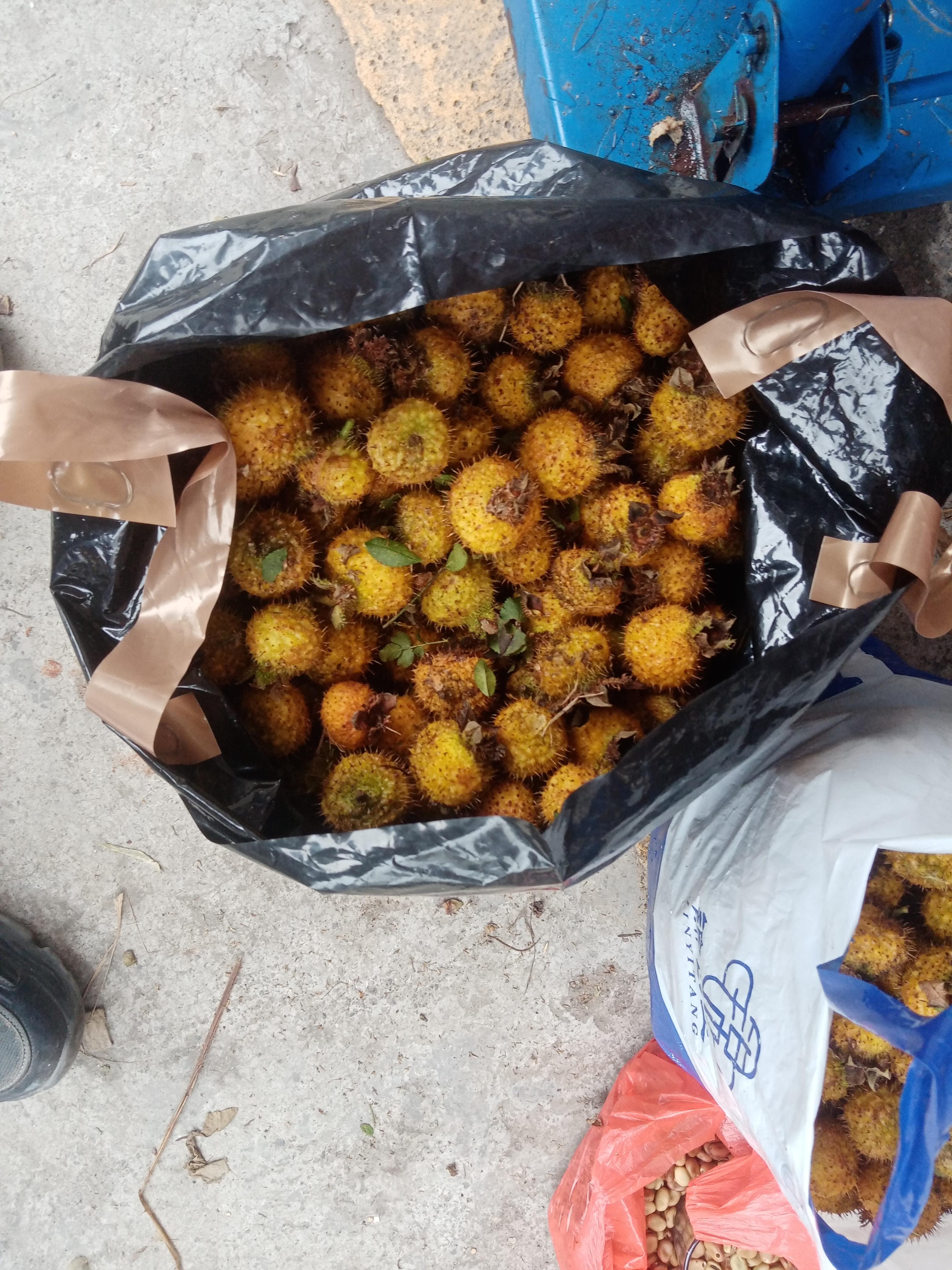 这种水果全身长满刺,果头还穿着衣服 ,把衣服和刺弄干净后,切开它