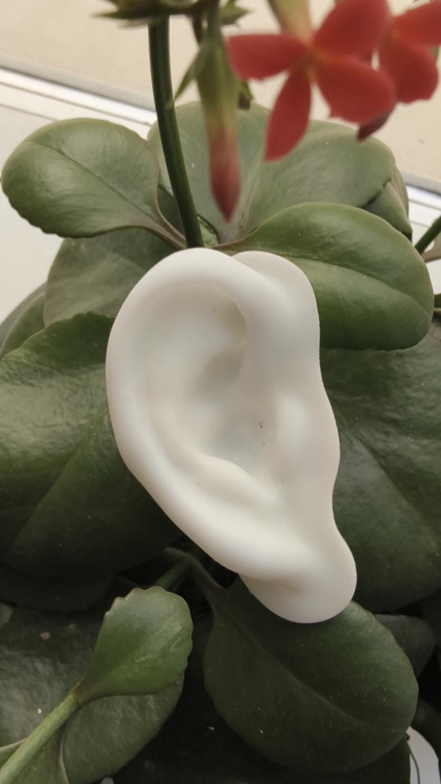 兴邦尔超写实义耳 的想法: 3d打印义耳与手工雕刻义耳哪个更胜一筹