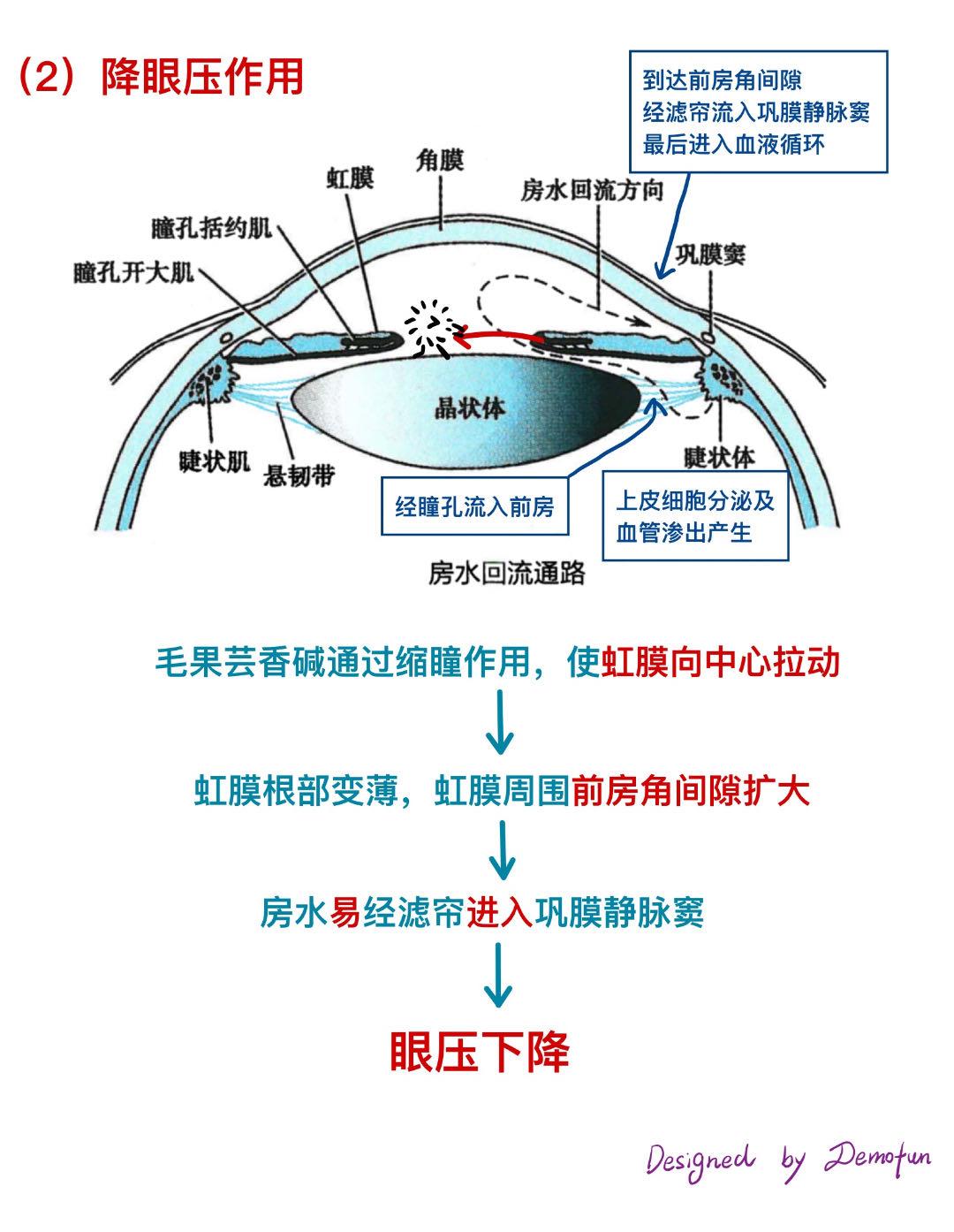 受体示意图图片