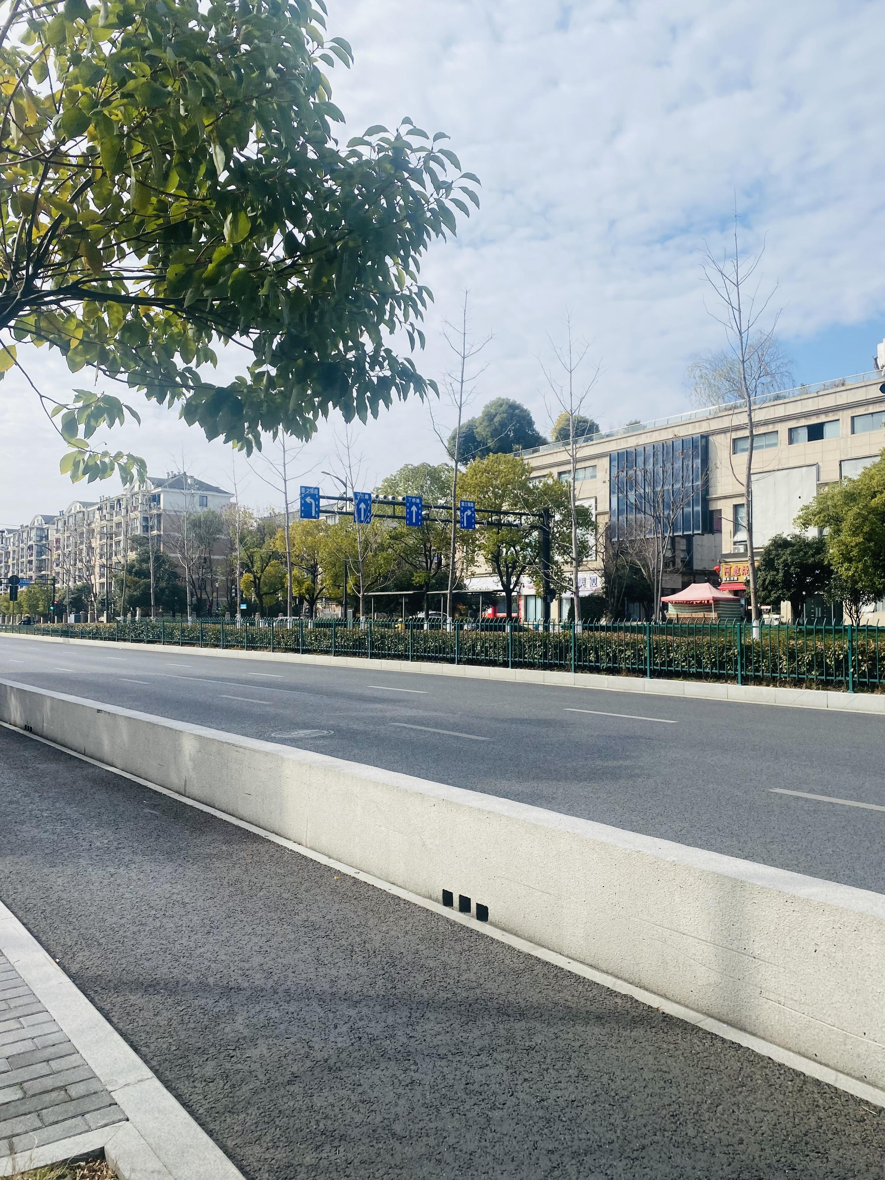 回老家的回老家,窝家里的我家里,马路上空空的