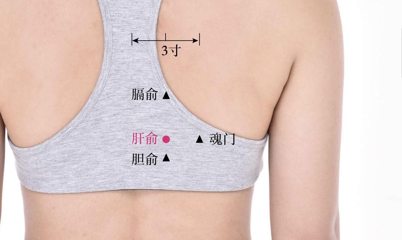 郭开放 的想法: 肝俞穴的位置及其作用