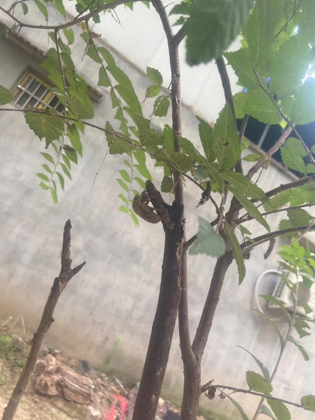 还没有评论发表第一个评论吧登录知乎您可以享受以下权益更懂你的
