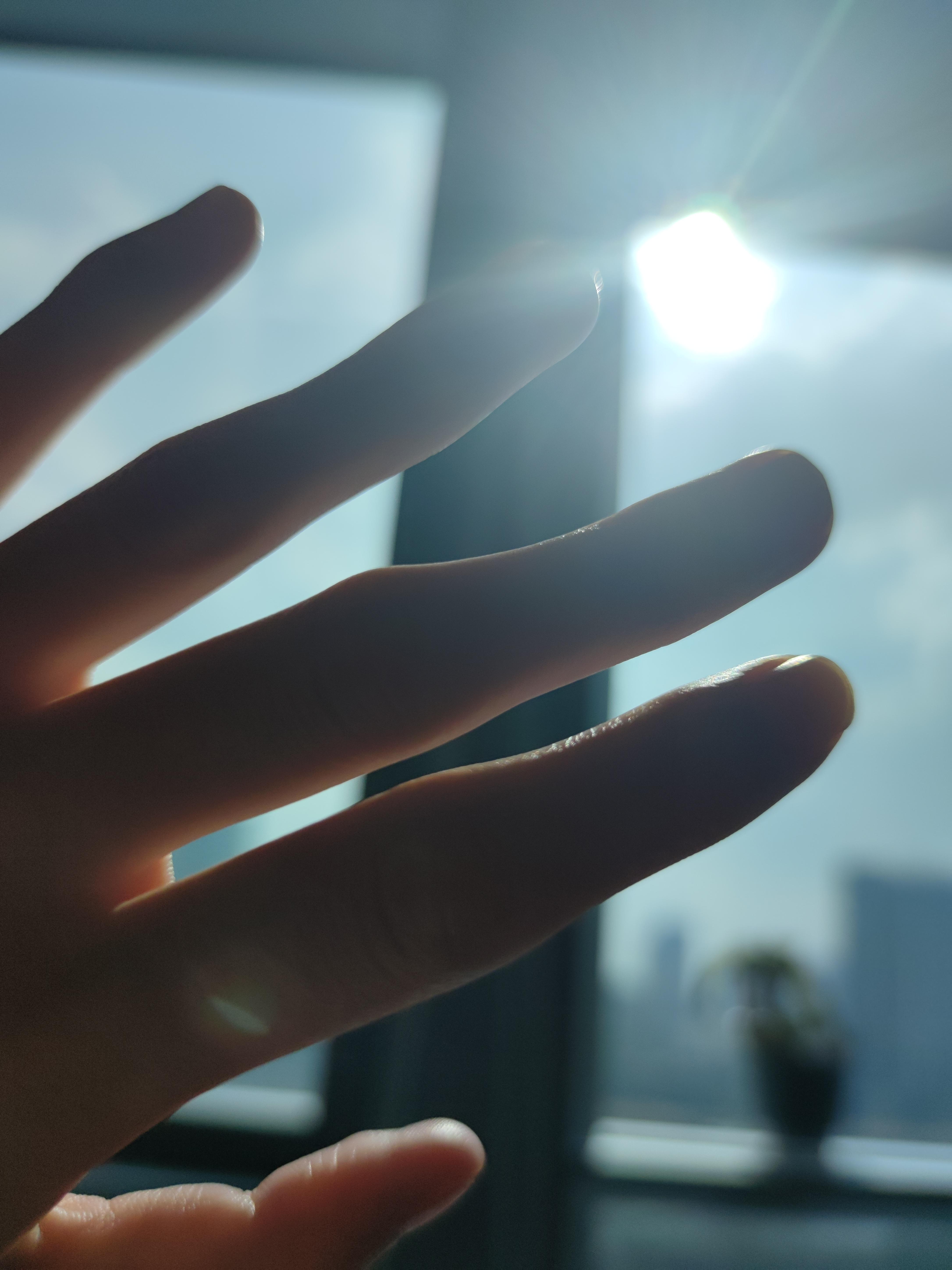 琴柚柚 的想法: 渴望光照耀下来,又惧怕光亮之后的黑暗