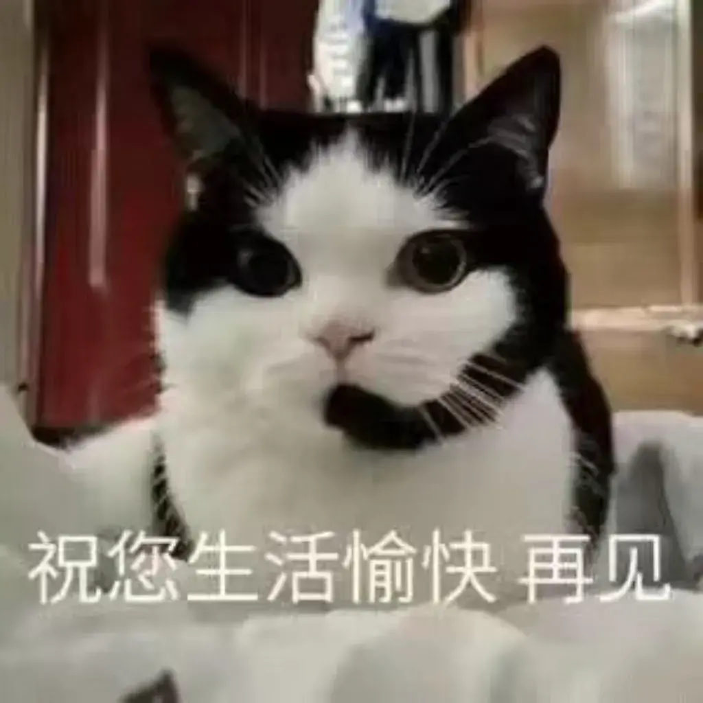 表情包今日表情包分享:1  不爽  2 祝您生活愉快  再见  3 准备咏接