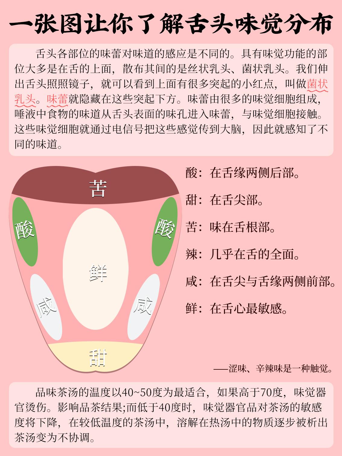 龙芽大师 的想法: 如何用好舌头品茶?