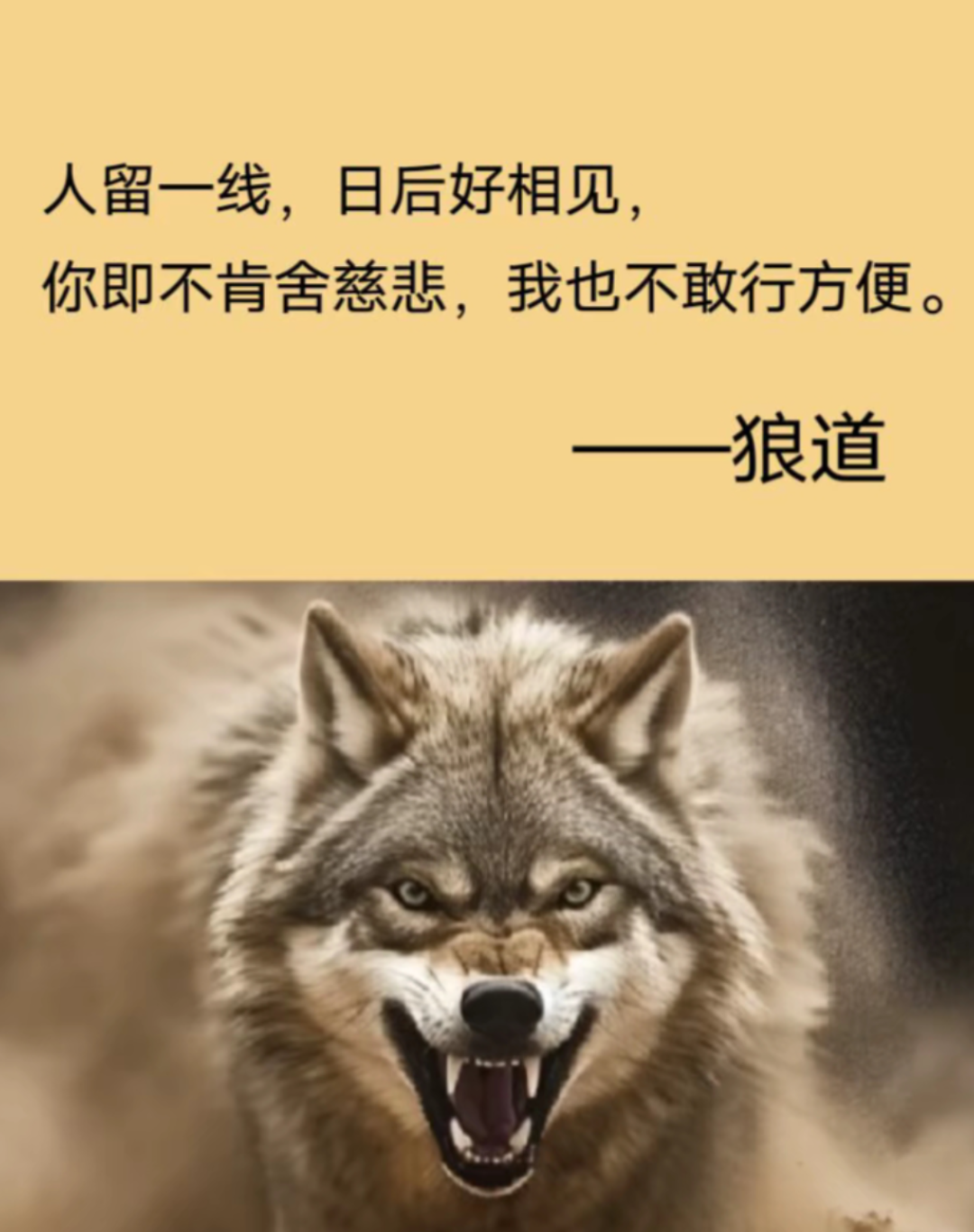 《狼道》你骂我我不还口,你背后放冷箭我不