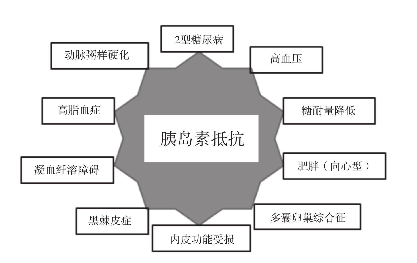 健身物语 的想法: 胰岛素抵抗相关的专家共识