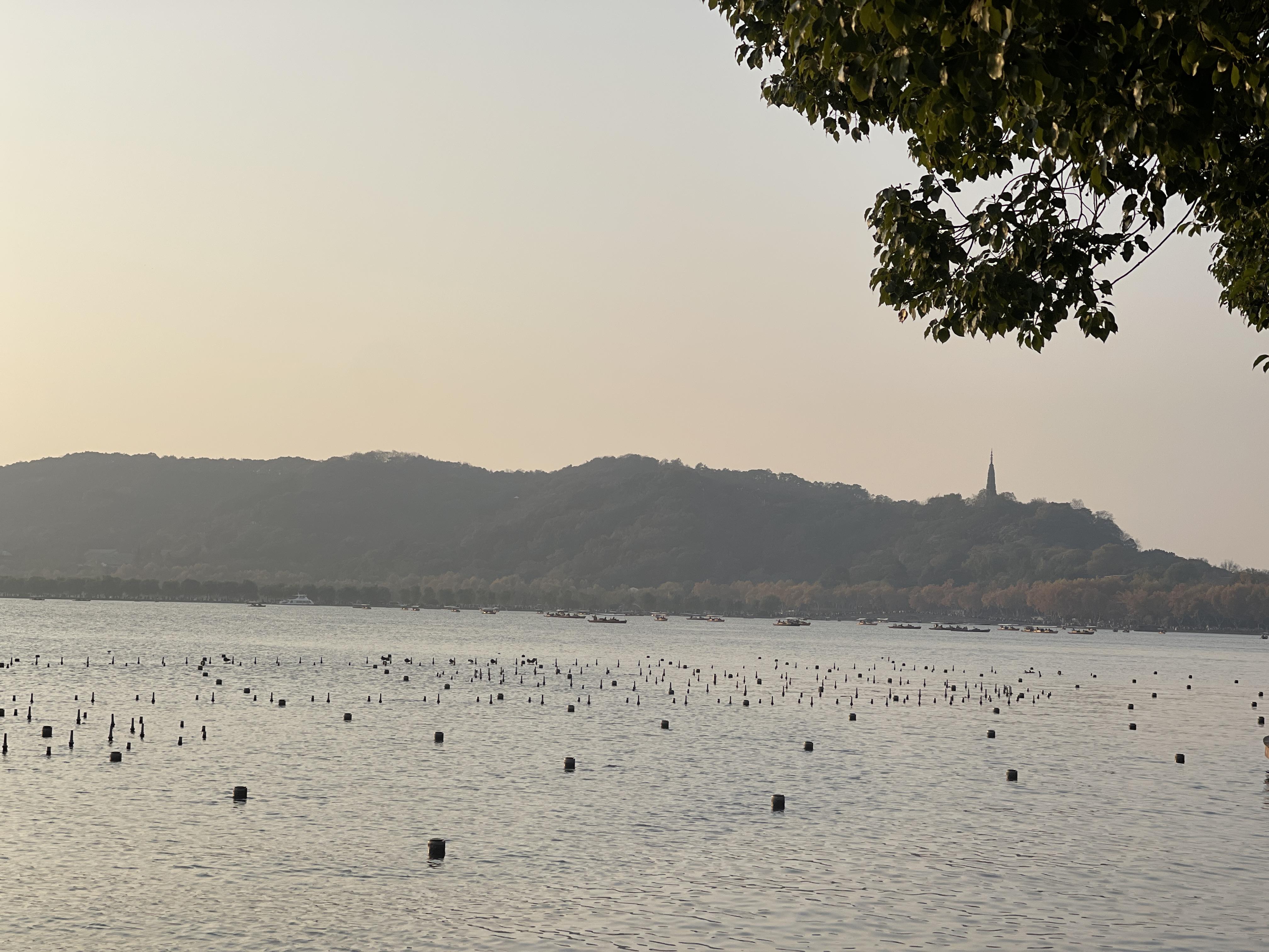 光影下的西湖真的好美今天是下午三点出的门因为已经比较接近傍晚了