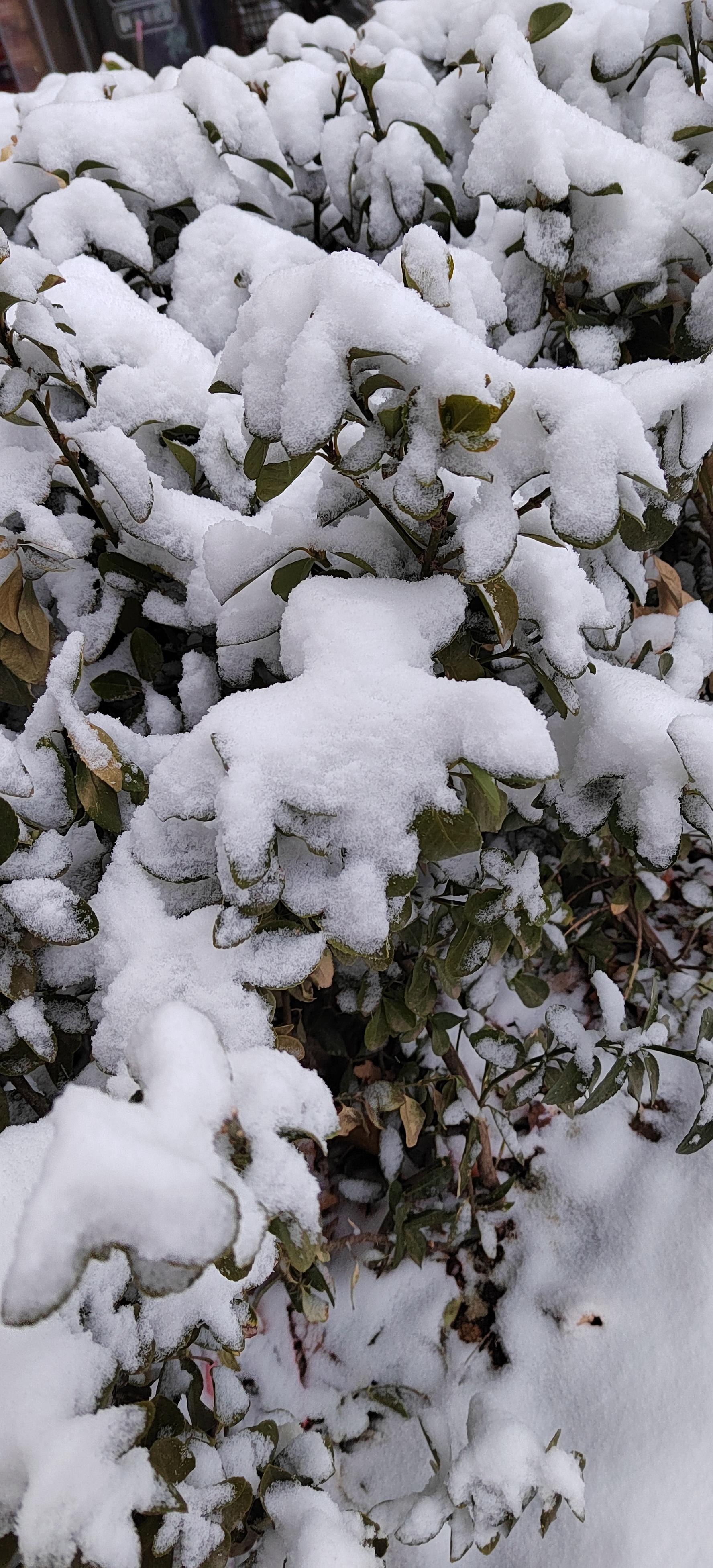 下雪心情好无论现在如何都要一如既往地对自己好像孩子一样喜欢就去做
