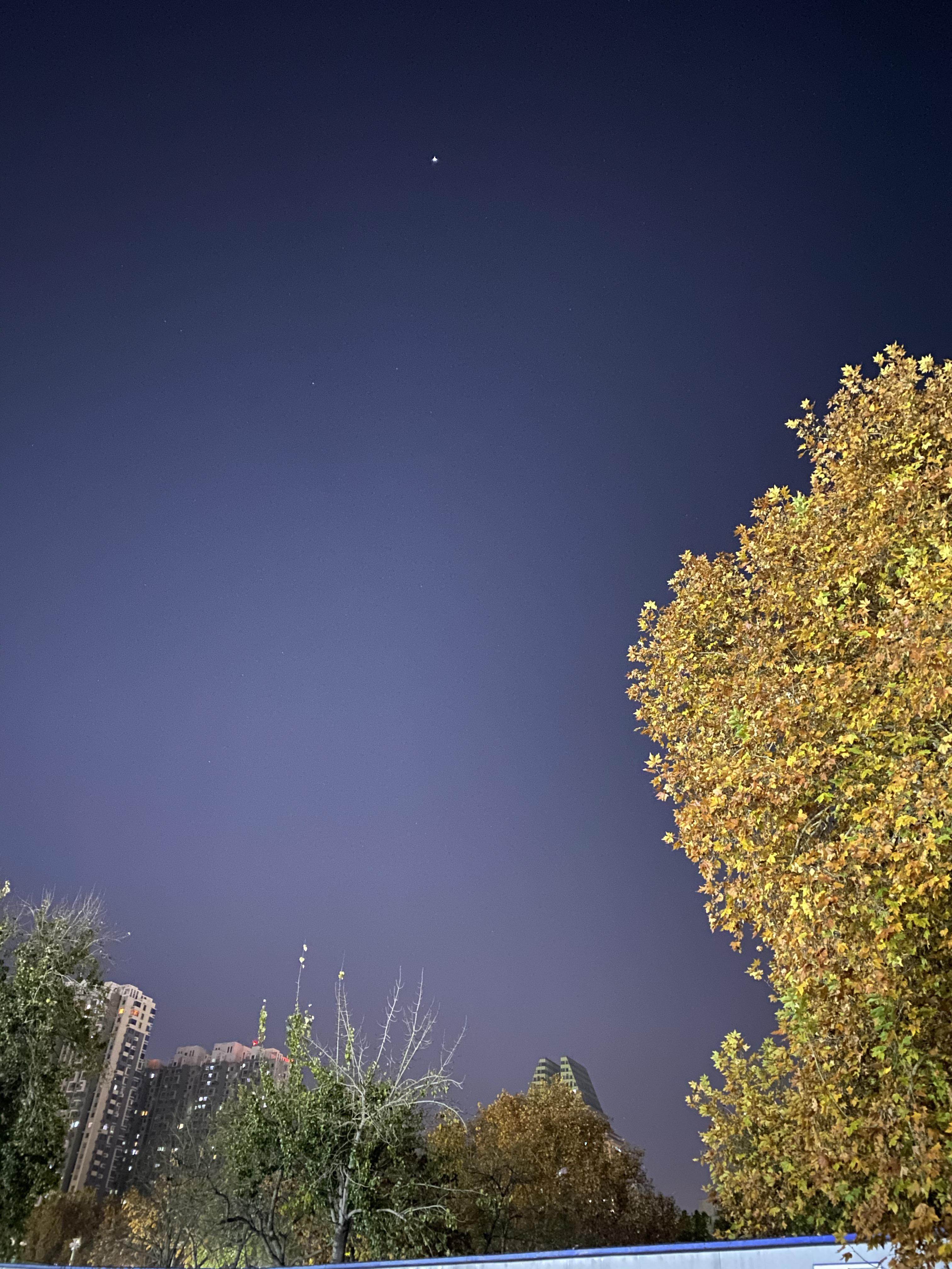 橙黄橘绿 的想法: 冬夜随想 br>只要健康 优不优秀 出不出色都不重要