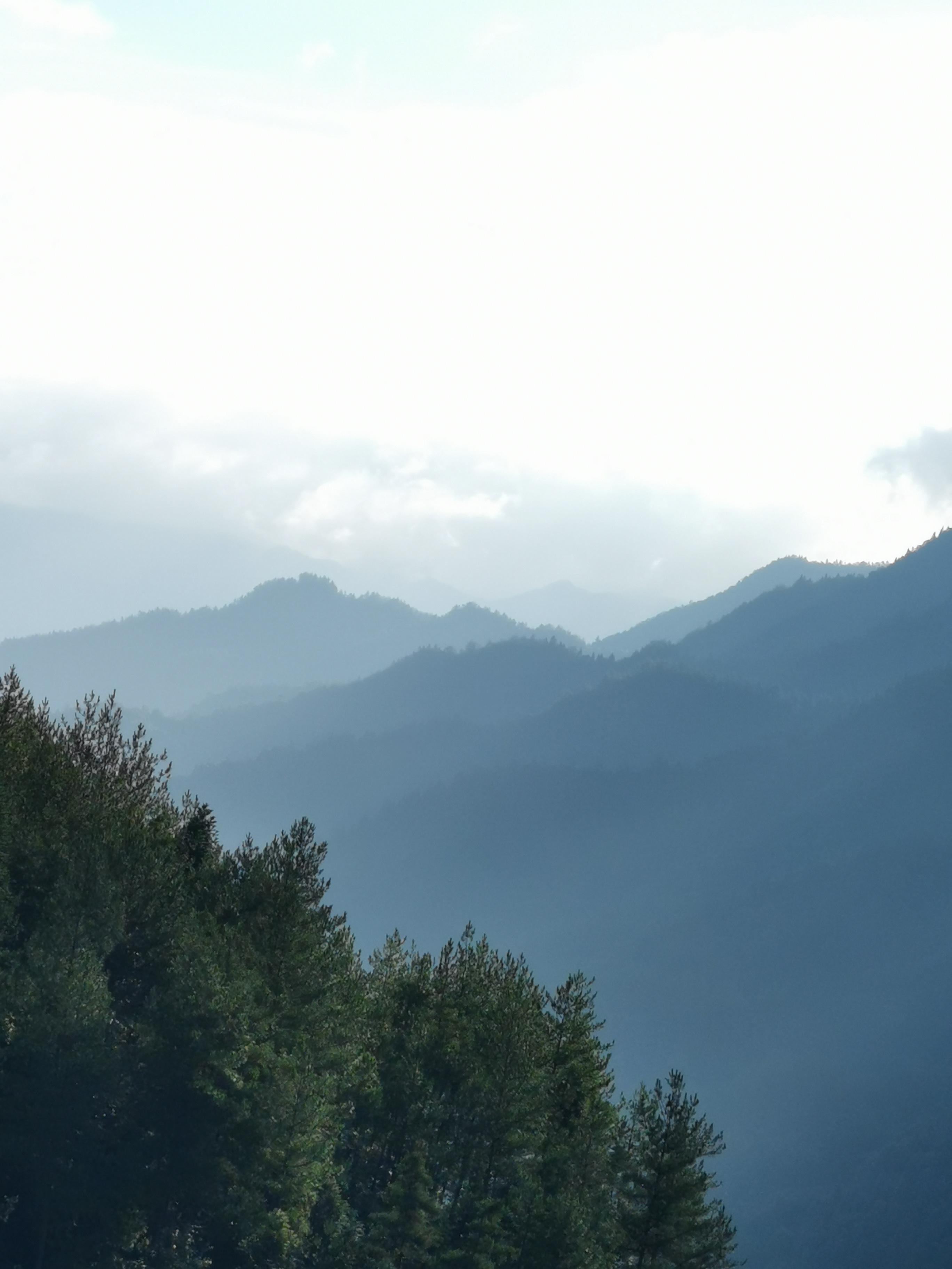 清茶一杯 的想法: 远山如黛