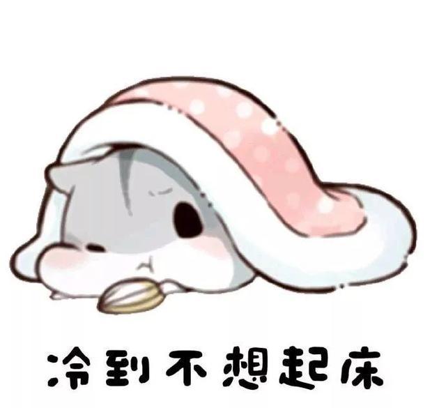 木雨璇 shirley 的想法: 躺着听直播