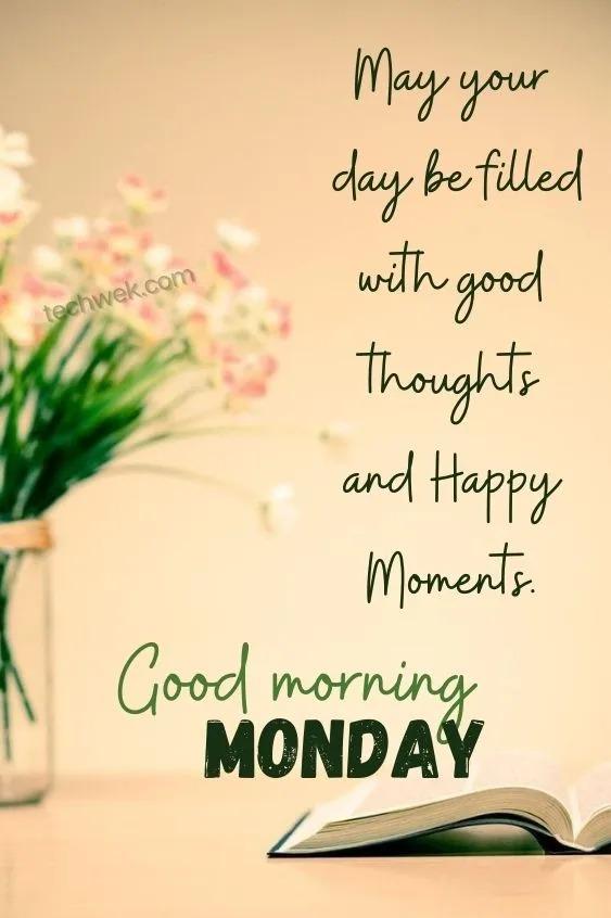 黄玫瑰 的想法: 星期一早上 monday morning