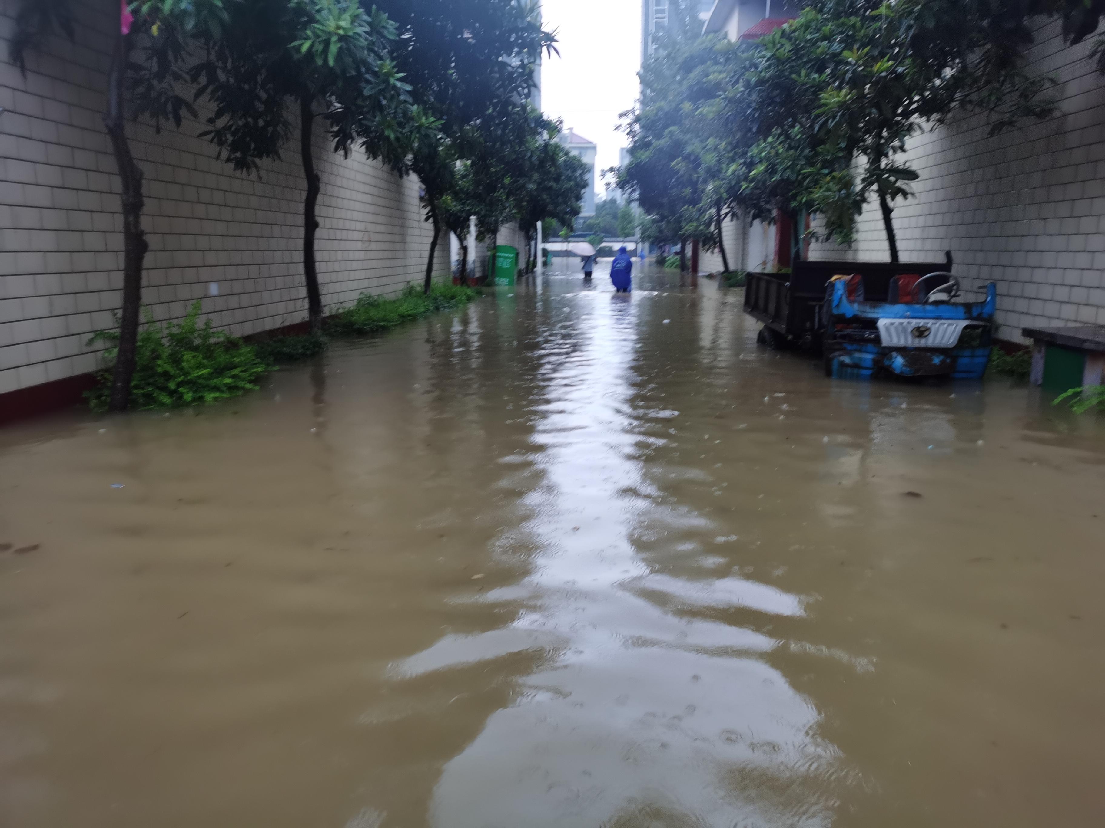 又想起那场水灾2021年七月倾盆大雨连续下了几个小时