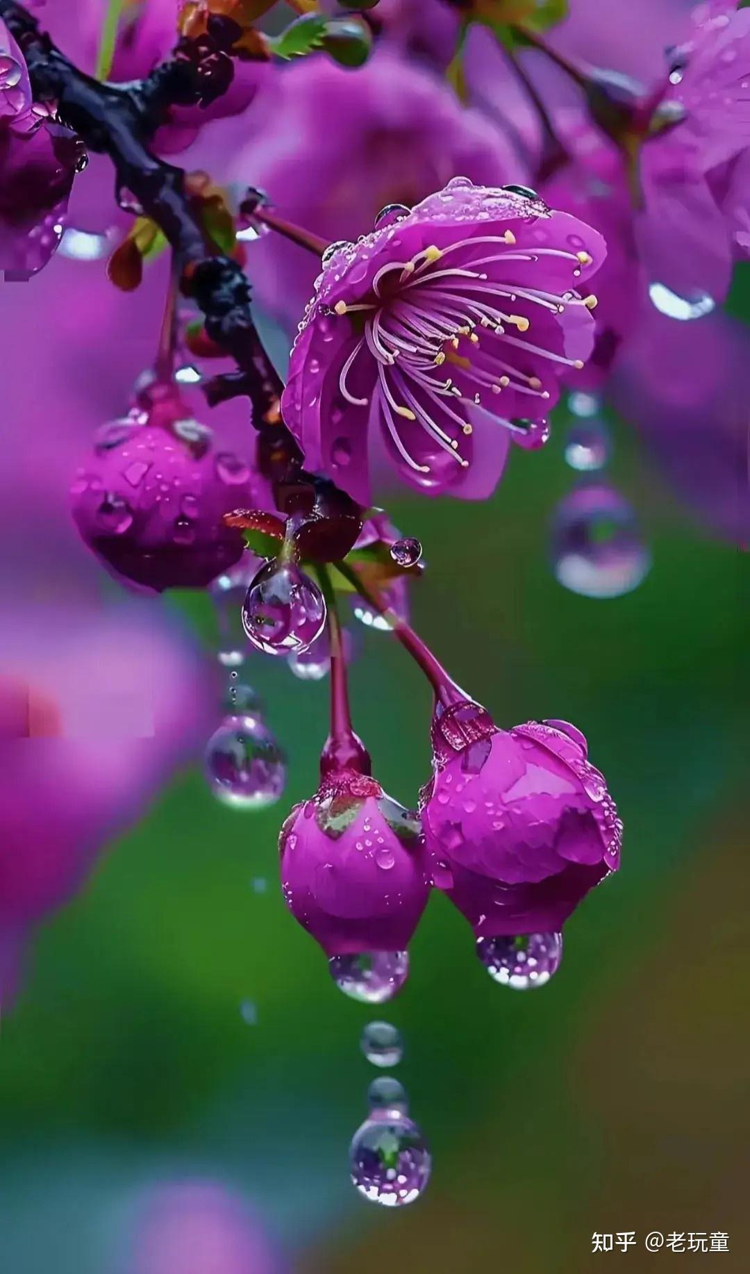 广州高端品牌网站建设哪家公司好_广州高端网站建设价格_广州网站设计建设