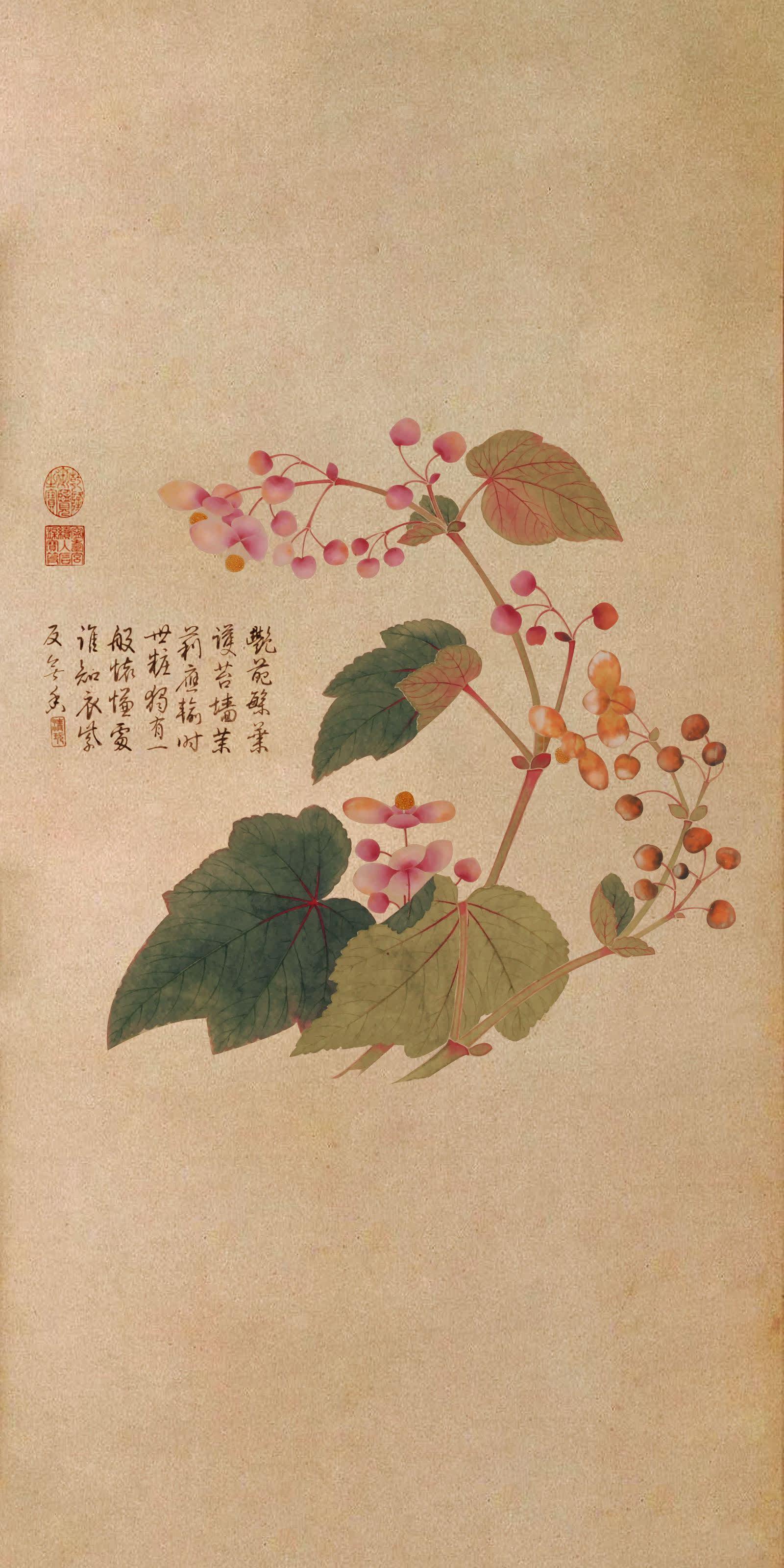 z时代 的想法: 清代画家钱维城《九秋图》 | 紫茉莉,秋海棠,翠桃,洋菊