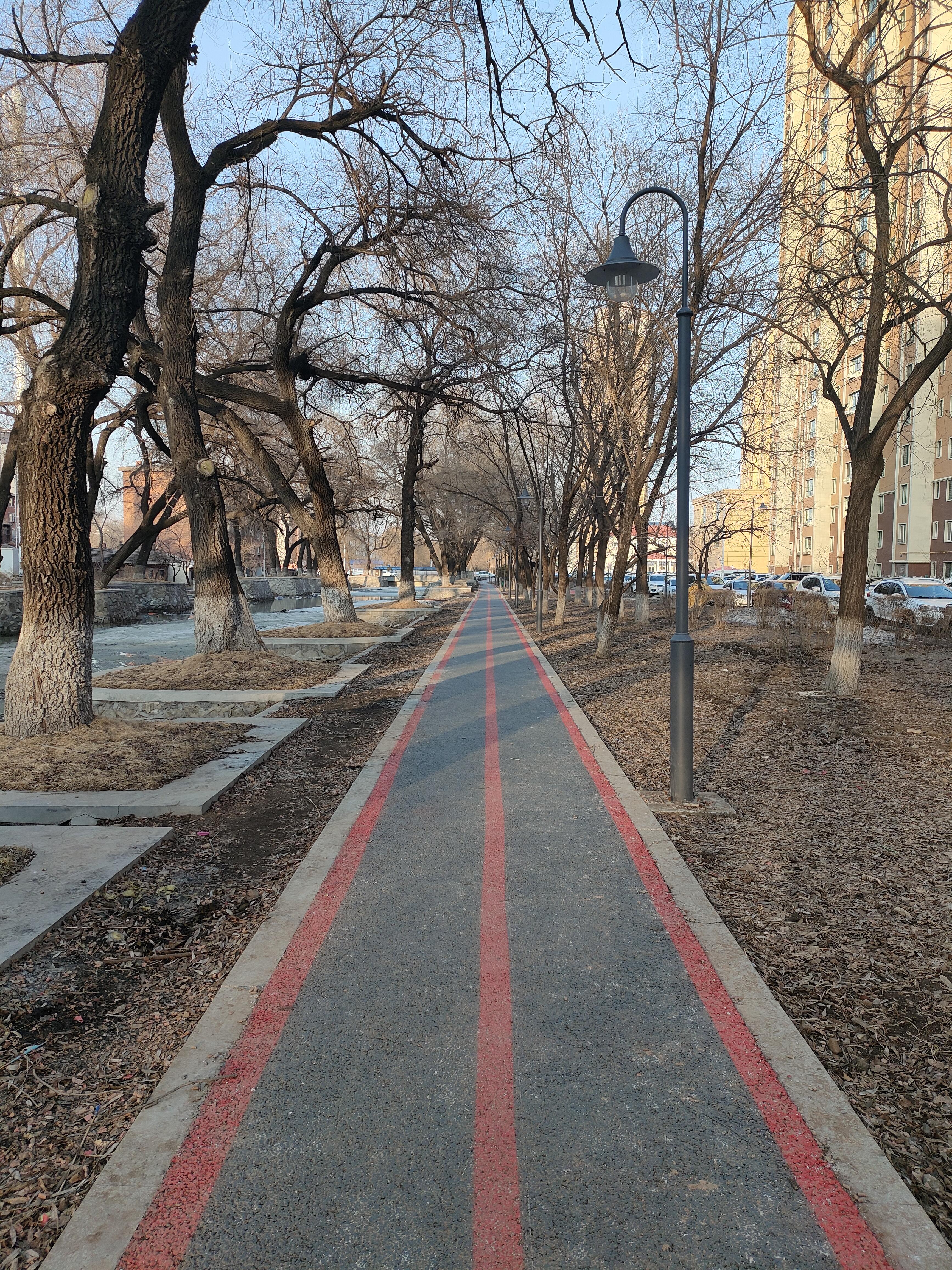 筱谦麻麻爱学习 的想法: 等待春天