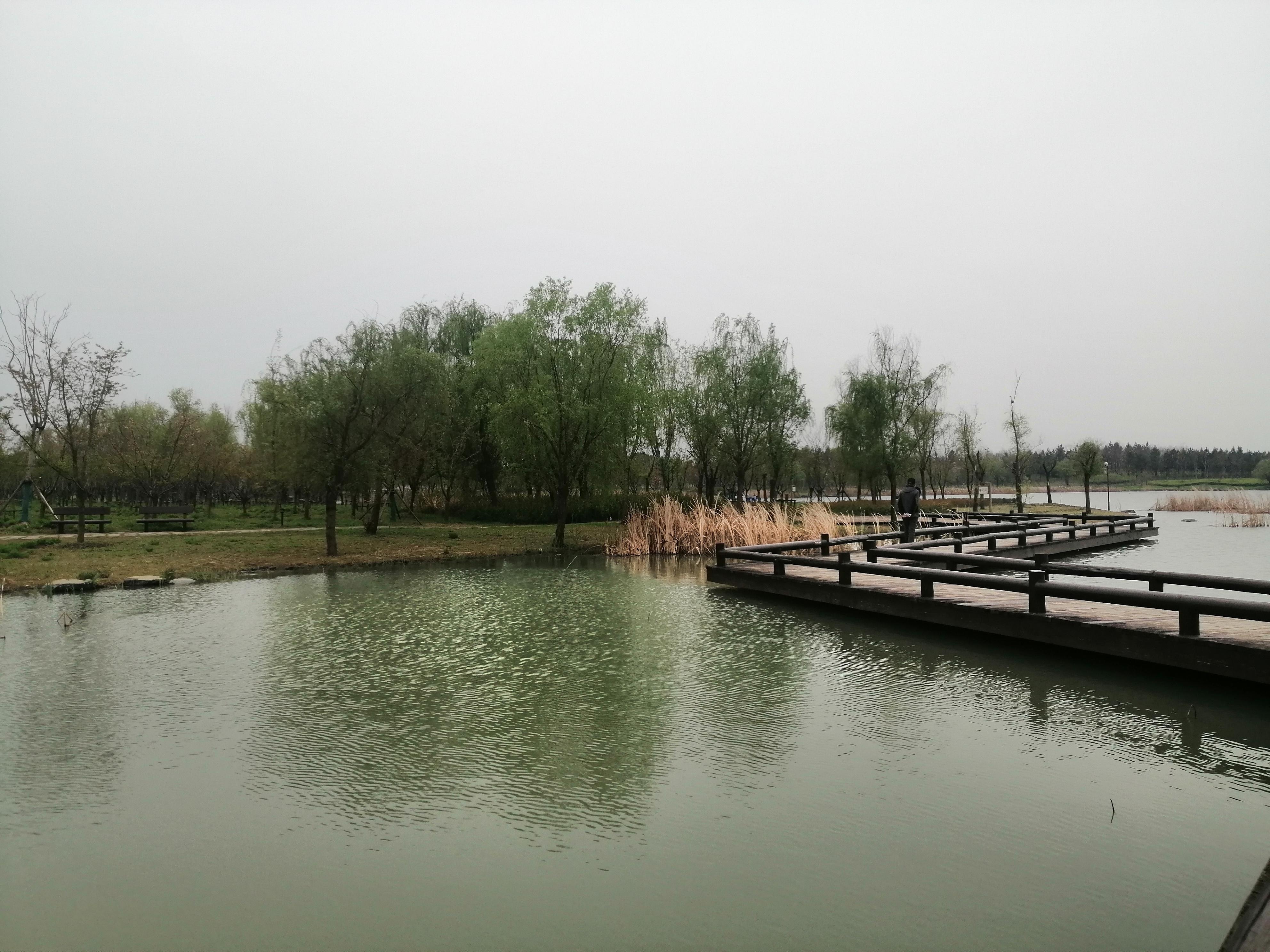 木石 的想法: 颍州西湖