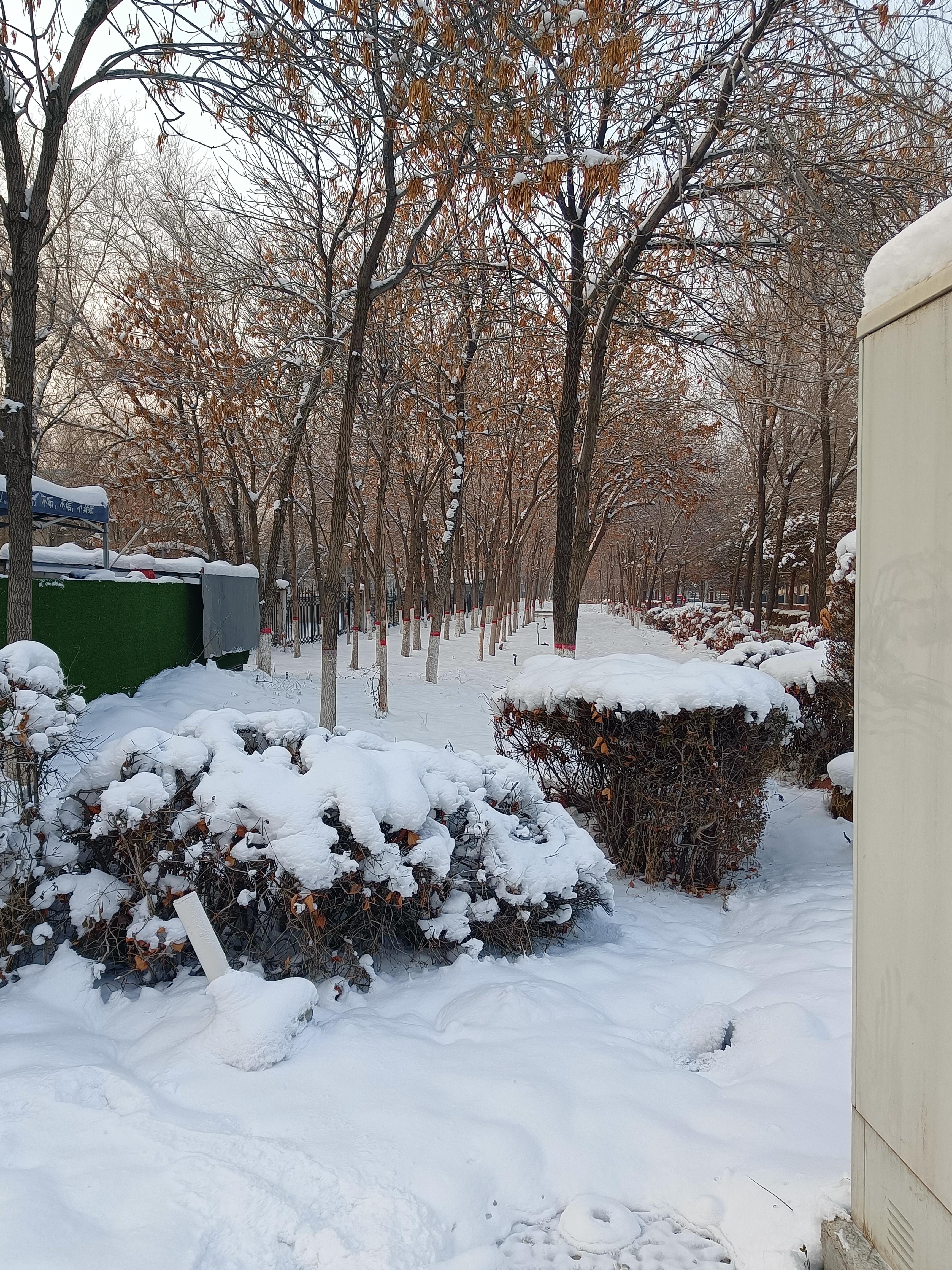 乌鲁木齐雪景真实图片