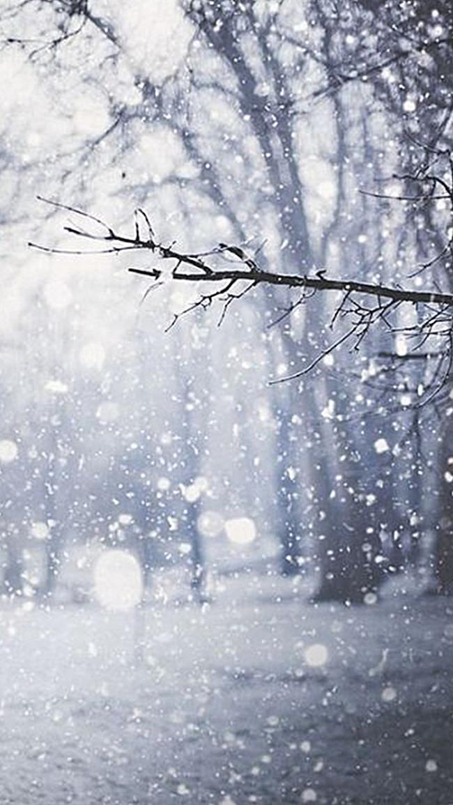 田若尘 的想法: 下雪啦 | 鹅毛大雪,说下就下 br>冬天终于来到身边了 