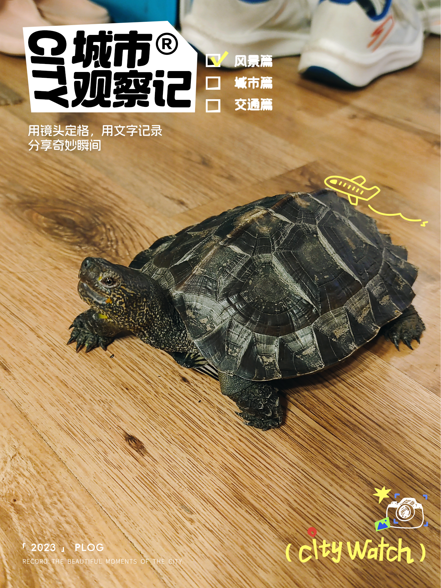 帝都的一辉君 的想法: 今日份龟龟 | 92我家宠物的名字:亚洲巨龟,小