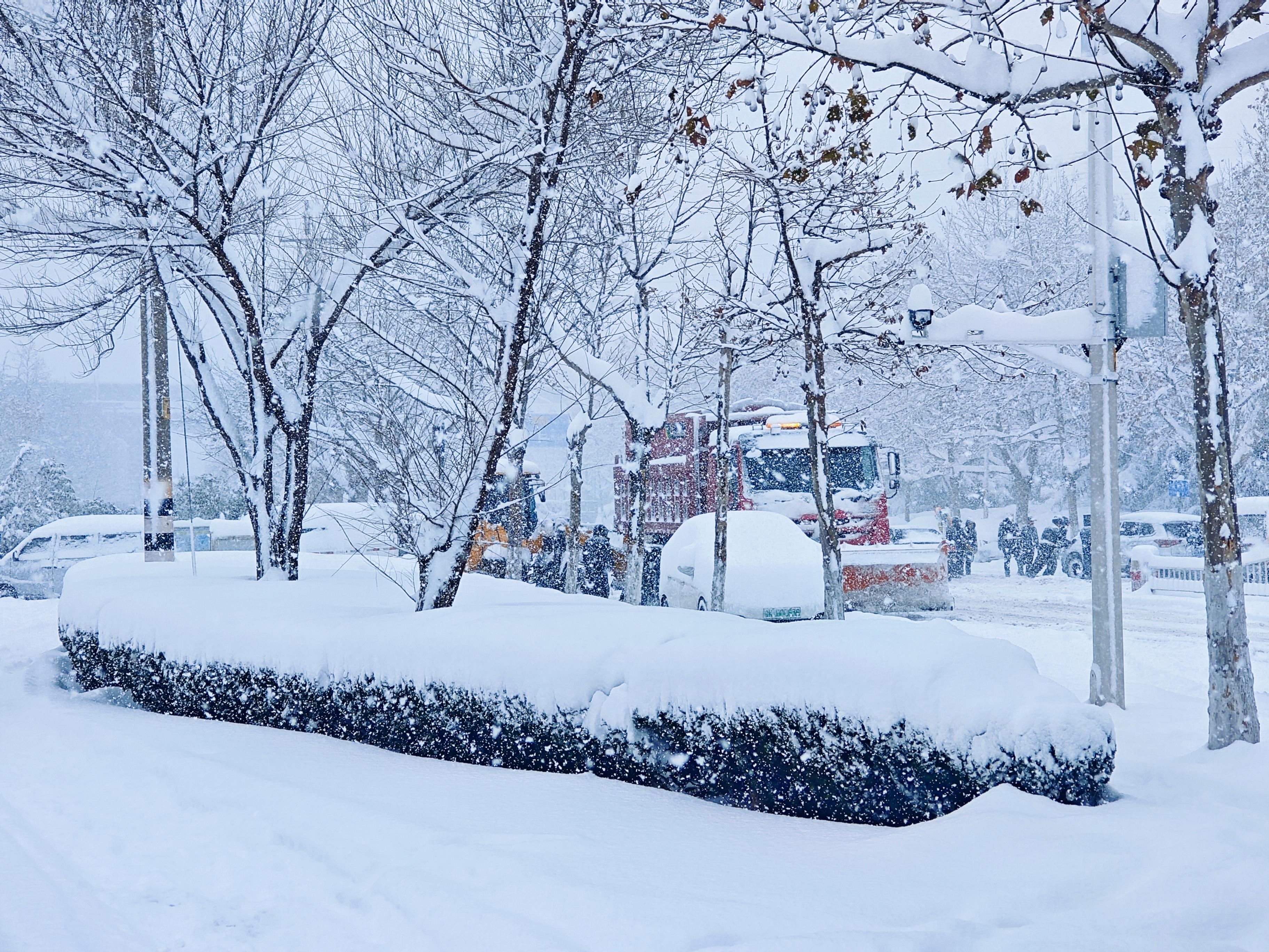 威海大雪图片