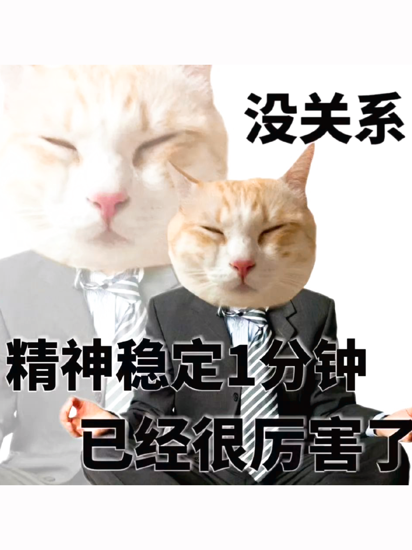 的想法: 猫猫表情包分享 | 一起来跟猫猫学习情绪稳定小技巧!