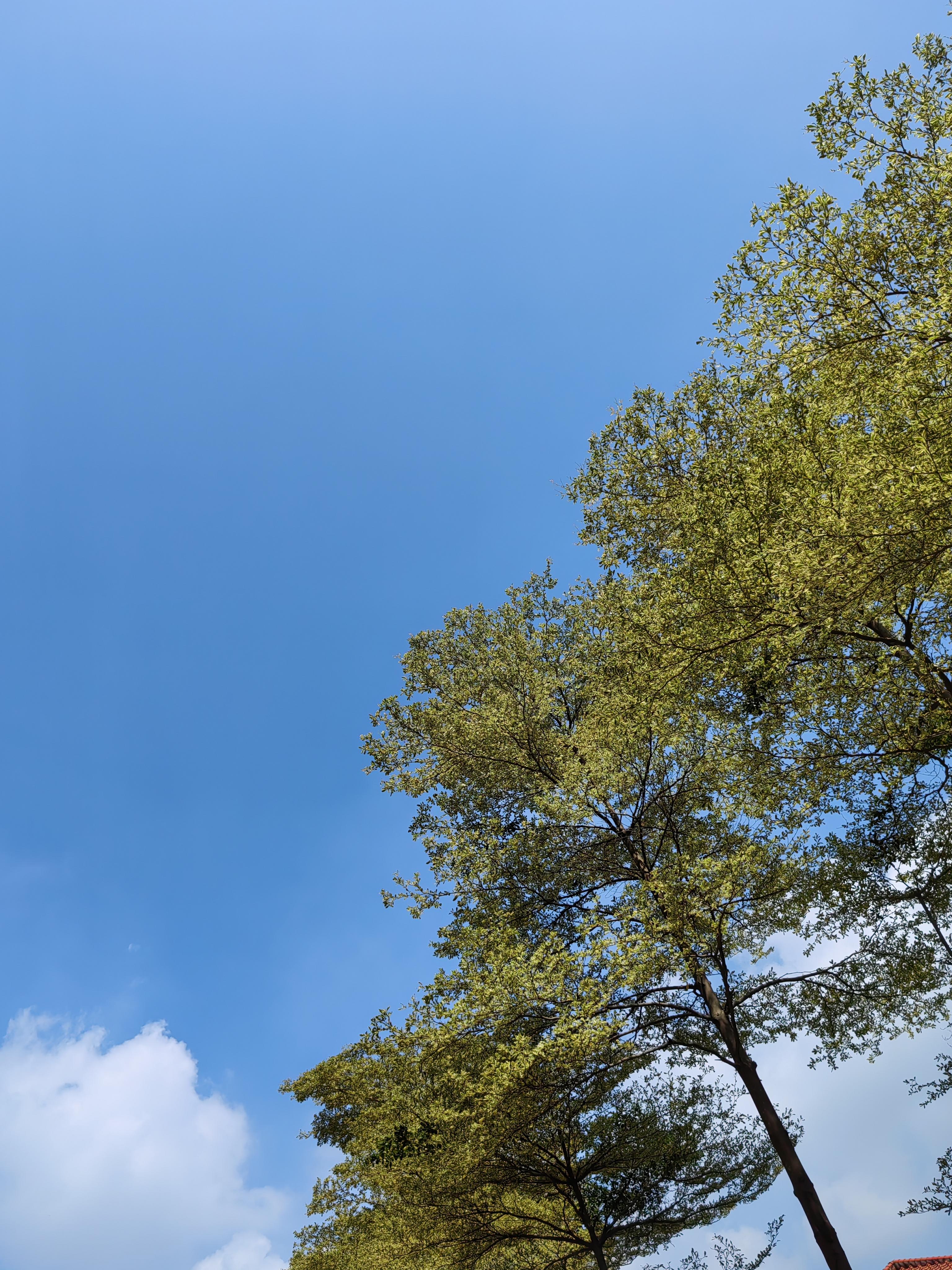 海云雁 的想法: #意境天空照片 我拍了太多天空的照片,感觉每一张都