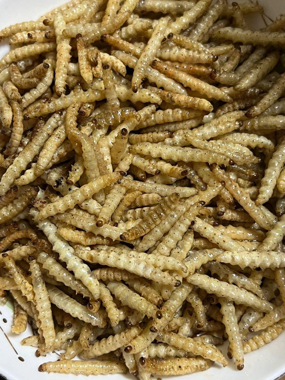 黎欣 的想法: 舌尖上的云南~竹虫