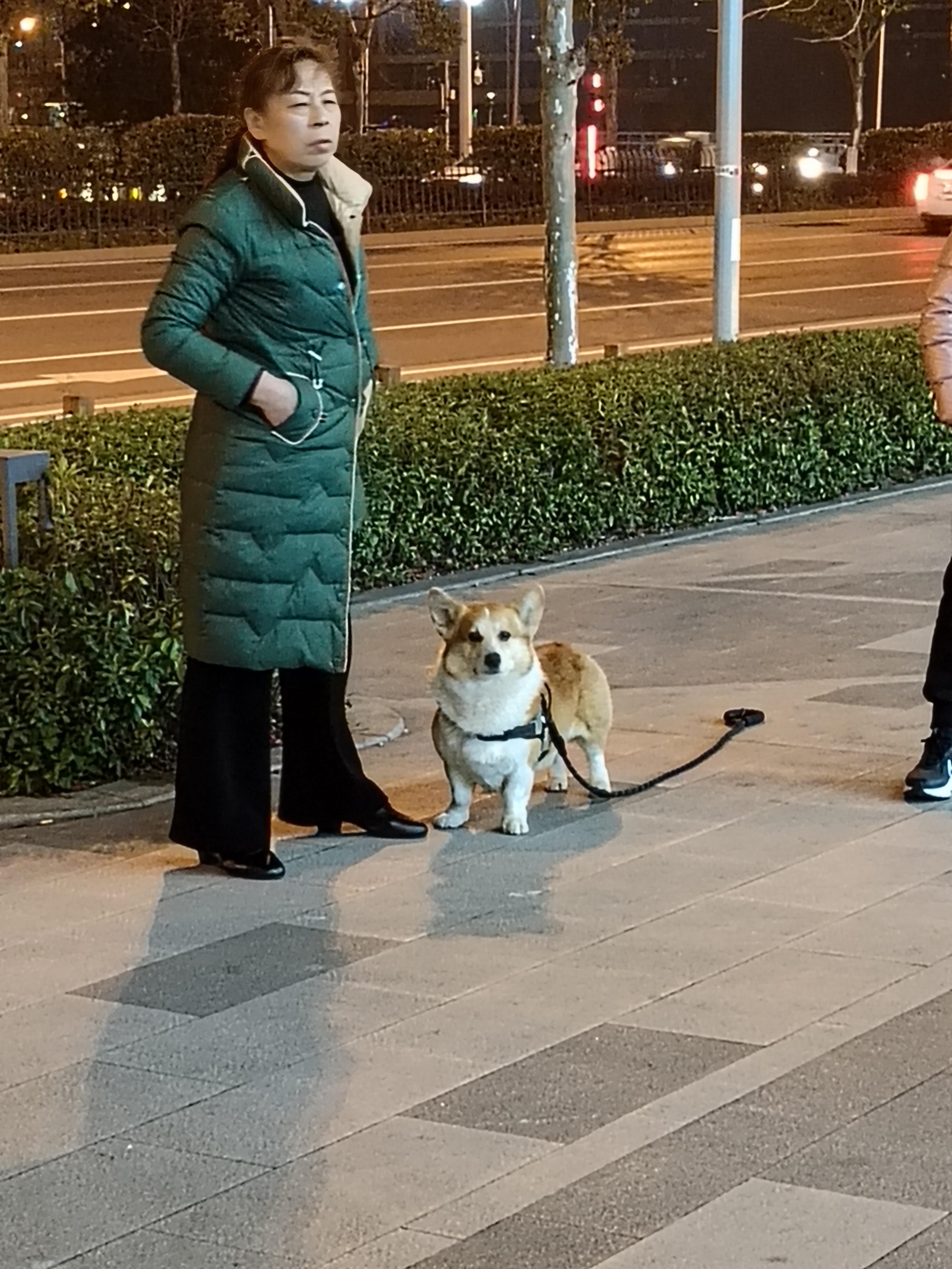 <a data-pin-topic="zhihu://topic/25348342