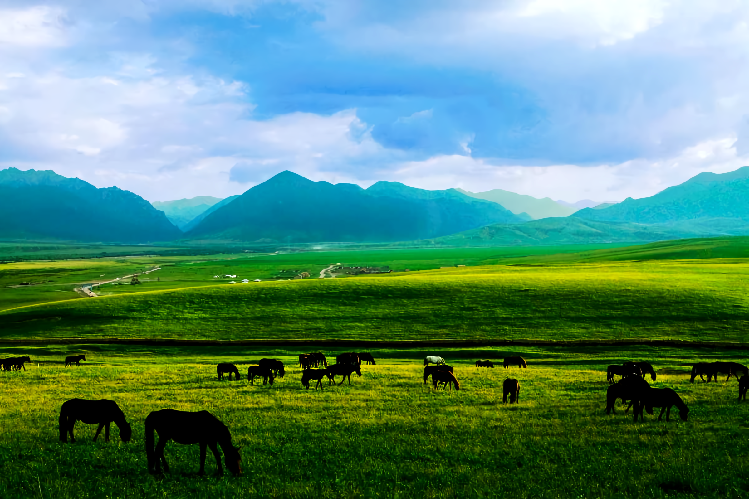 的想法: 亚洲最大的军马场