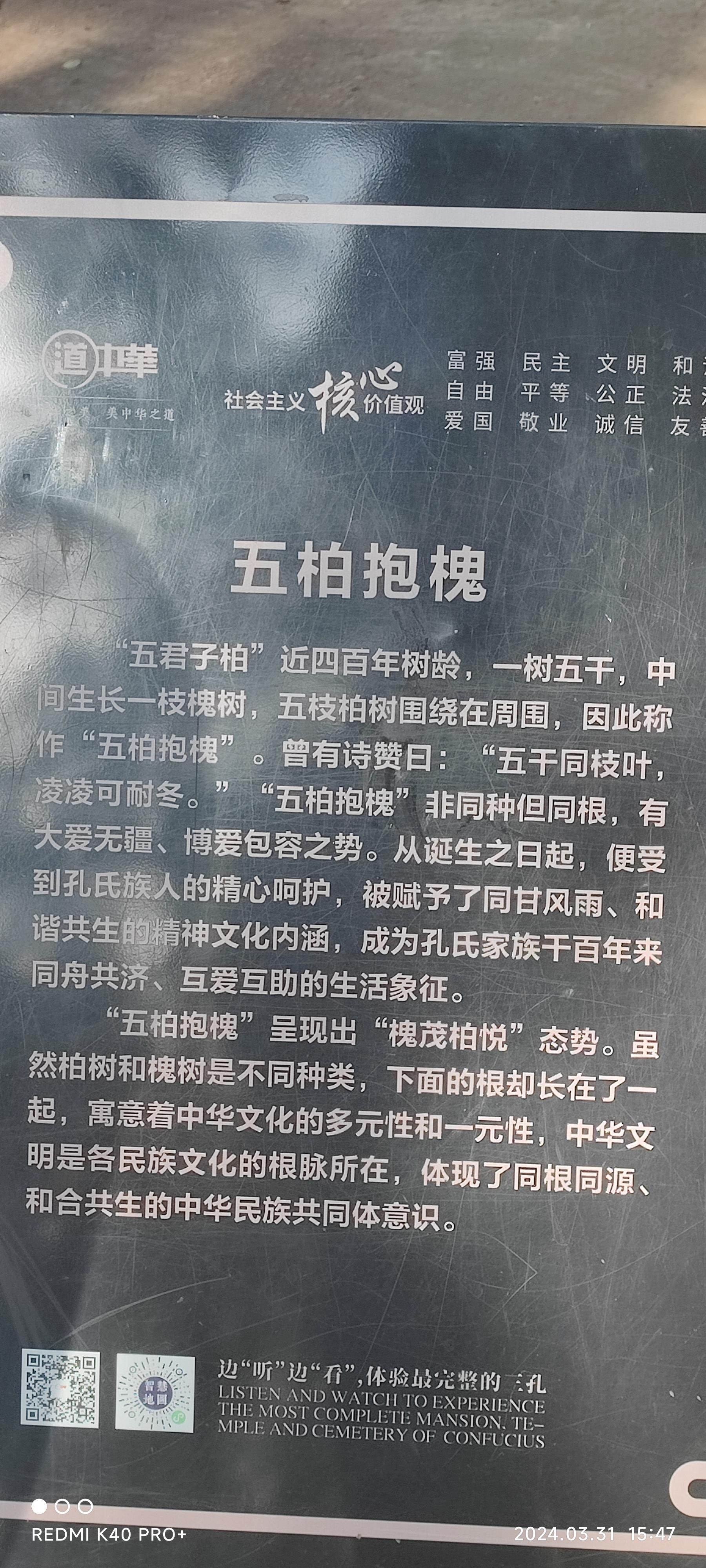 情感专家 的想法: 孔府后花园 | 📍所在城市:曲阜 br>🗺city walk